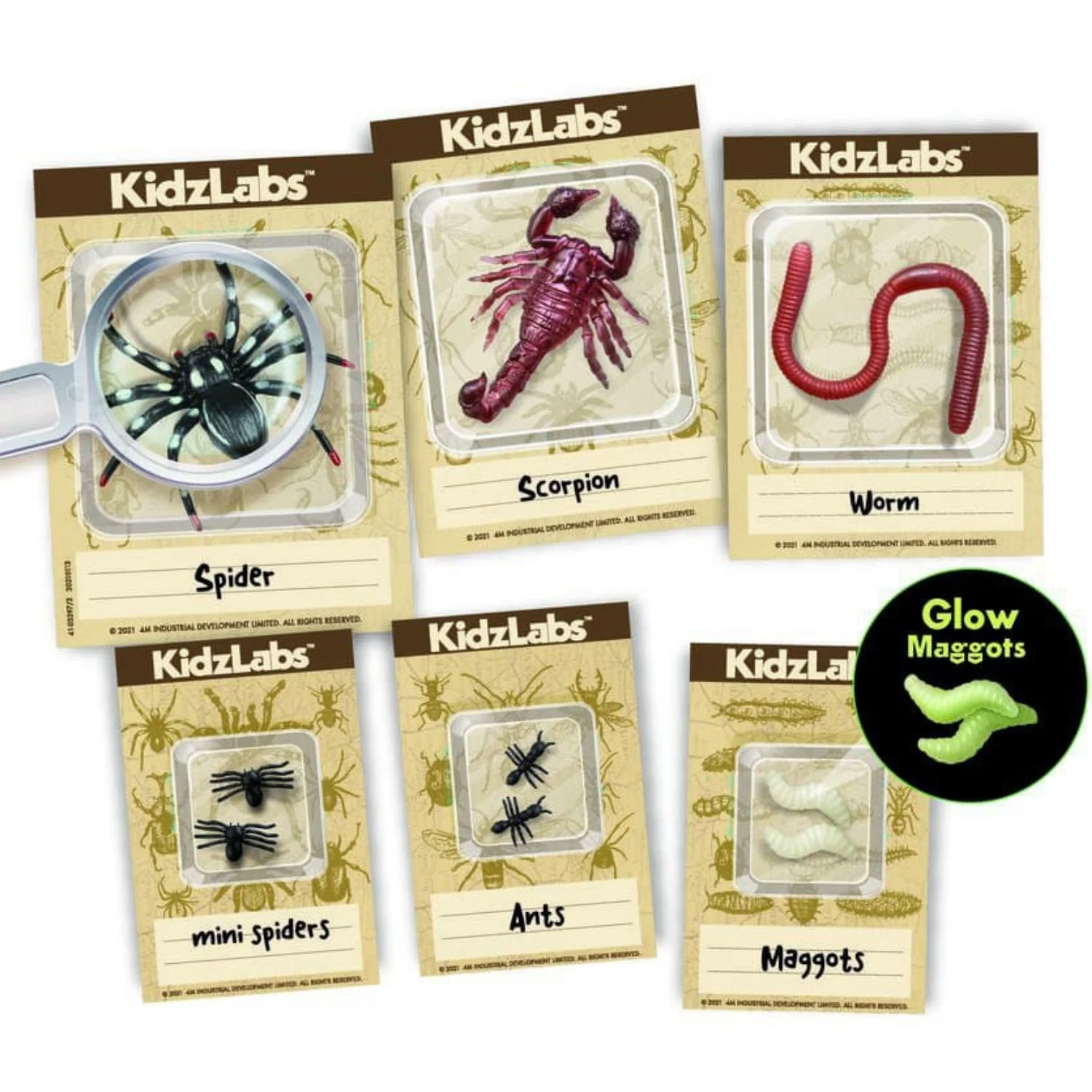 4M Kidzlabs / Creepy Crawly Digging Kit - Image 3