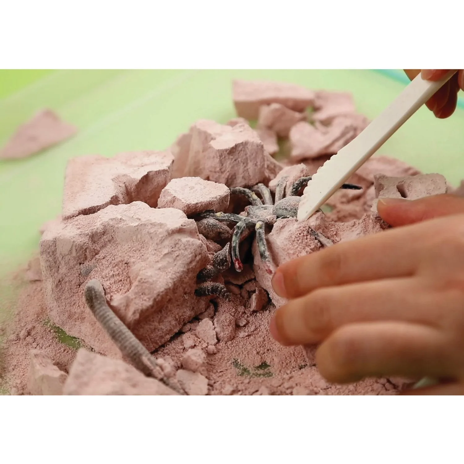 4M Kidzlabs / Creepy Crawly Digging Kit - Image 6