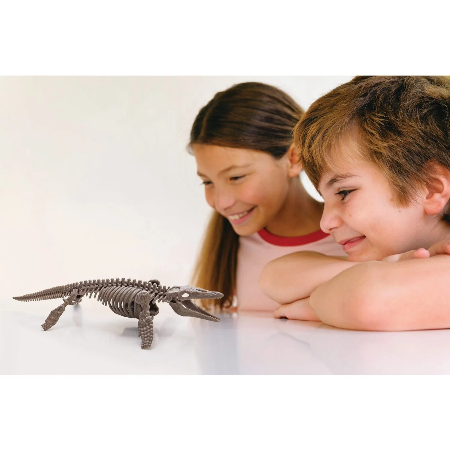 4M Excavate A Mosasaurus-Skeleton - Image 6