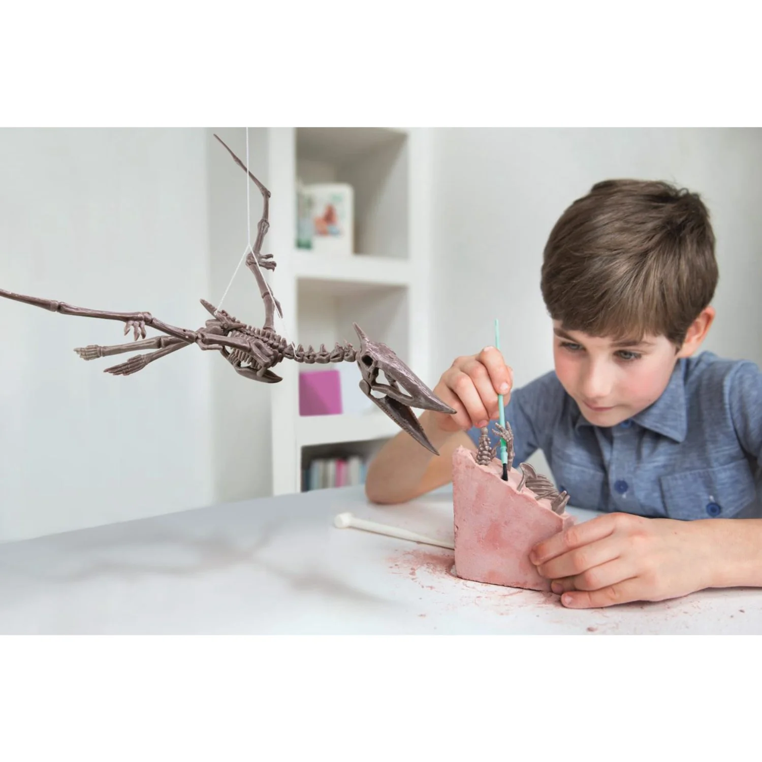 4M Excavate A Pteranodon-Skeleton - Image 3