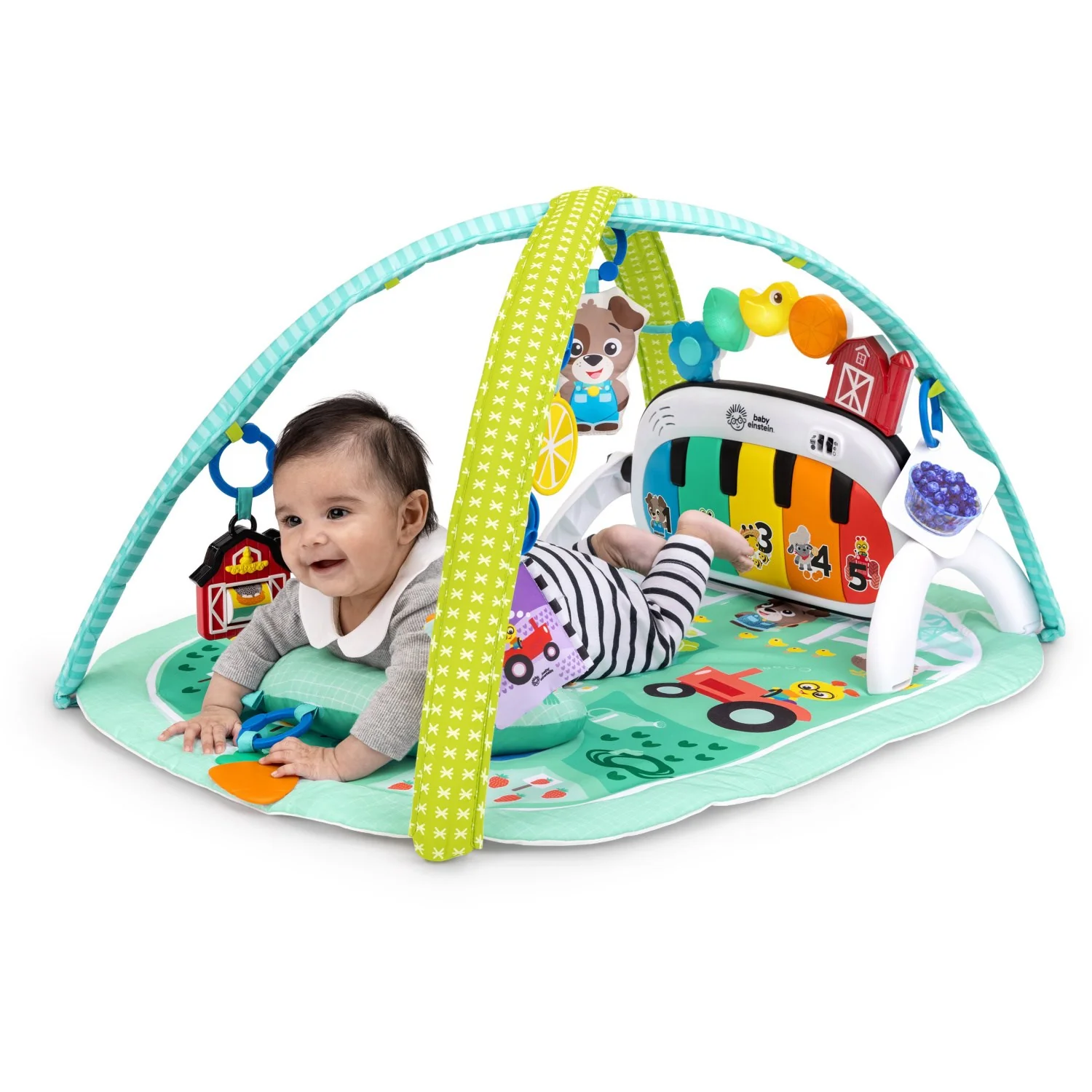 Baby Einstein 4-in-1 Kickin’ Tunes™ Musical Meadow™ Music & Language Discovery Gym - Image 4