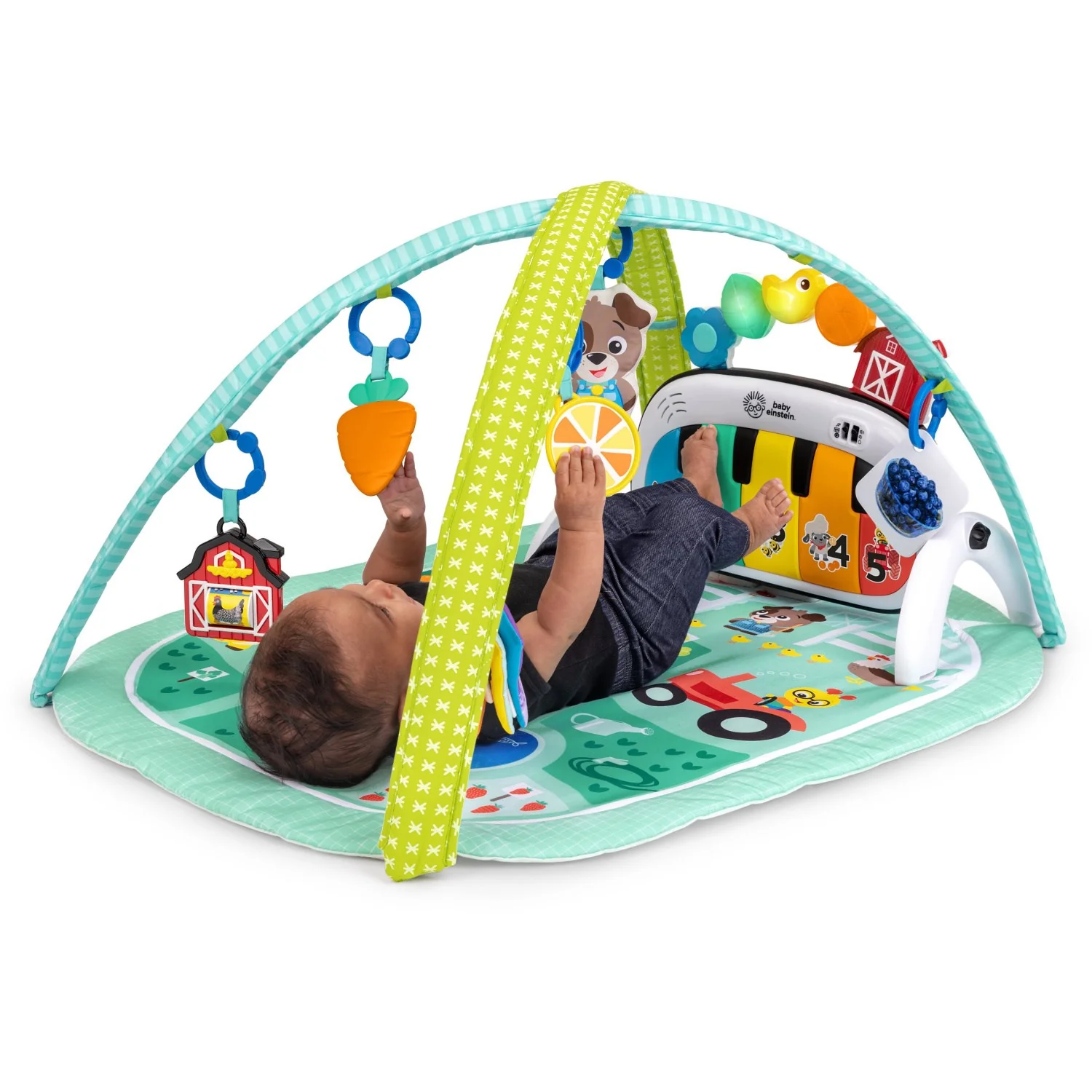 Baby Einstein 4-in-1 Kickin’ Tunes™ Musical Meadow™ Music & Language Discovery Gym - Image 5