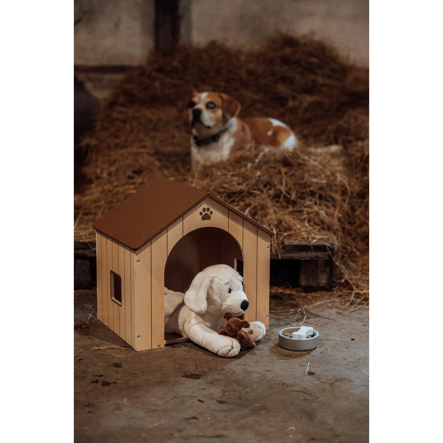 by Astrup Hundehus - Image 6