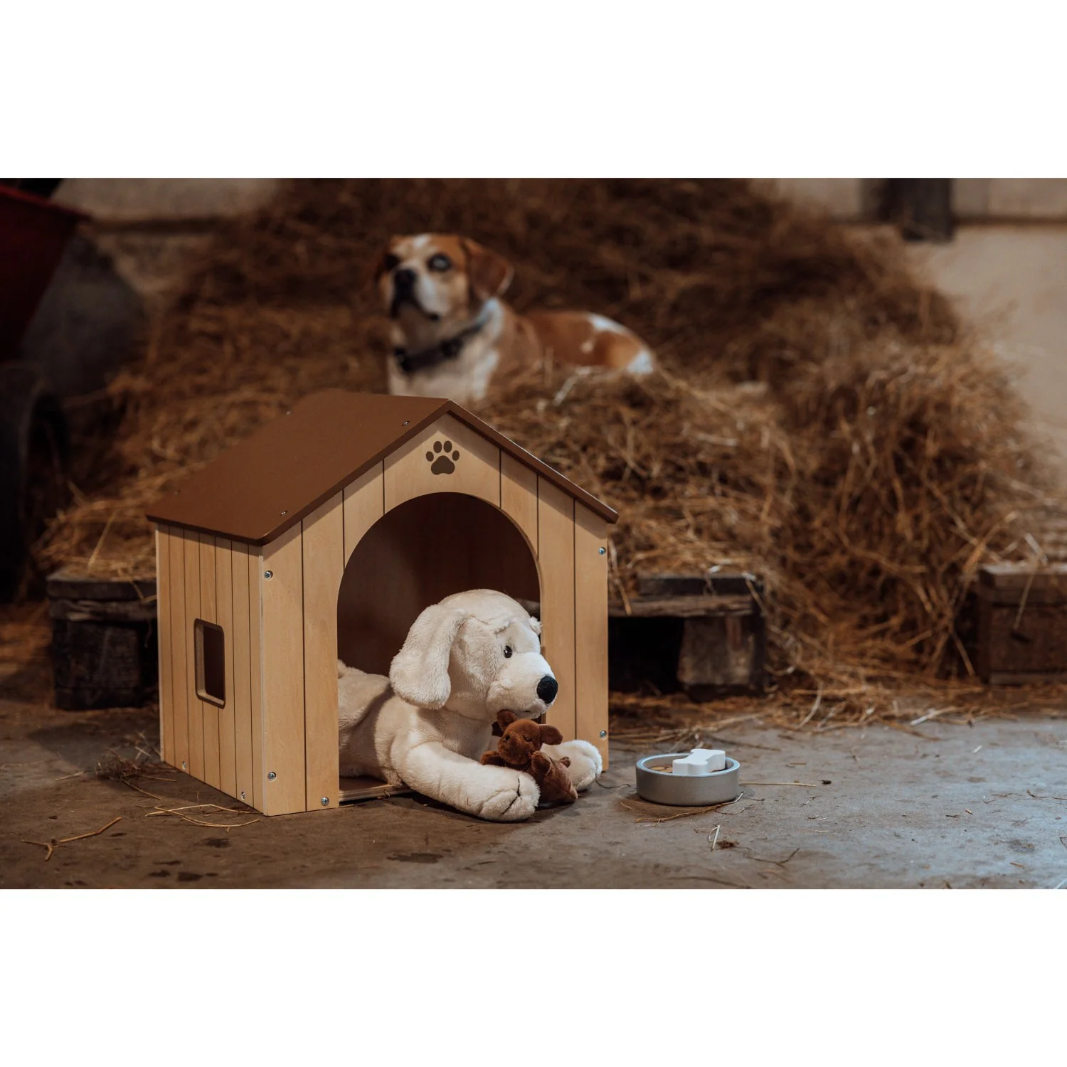 by Astrup Hundehus - Image 9