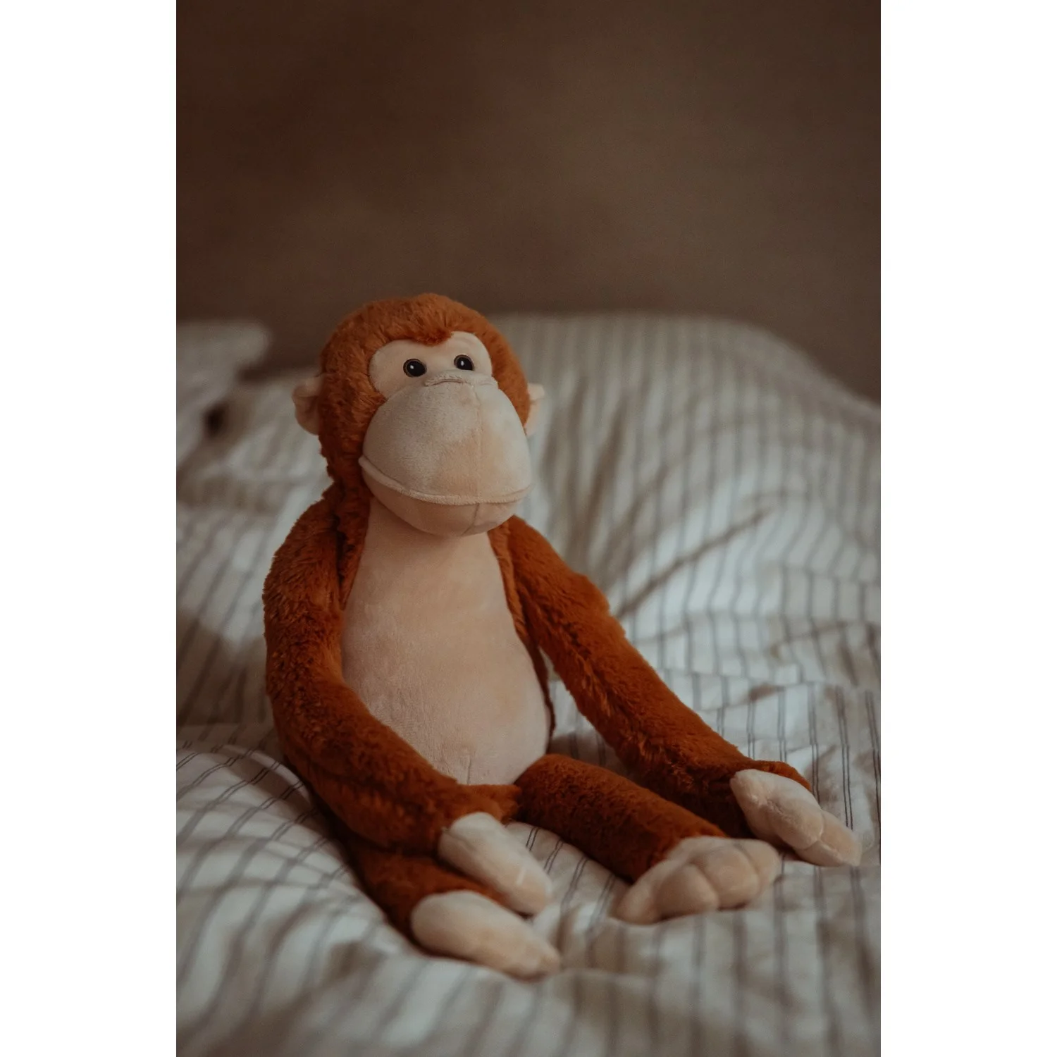 by Astrup Gravity, monkey, 1.8 kg. - Image 8