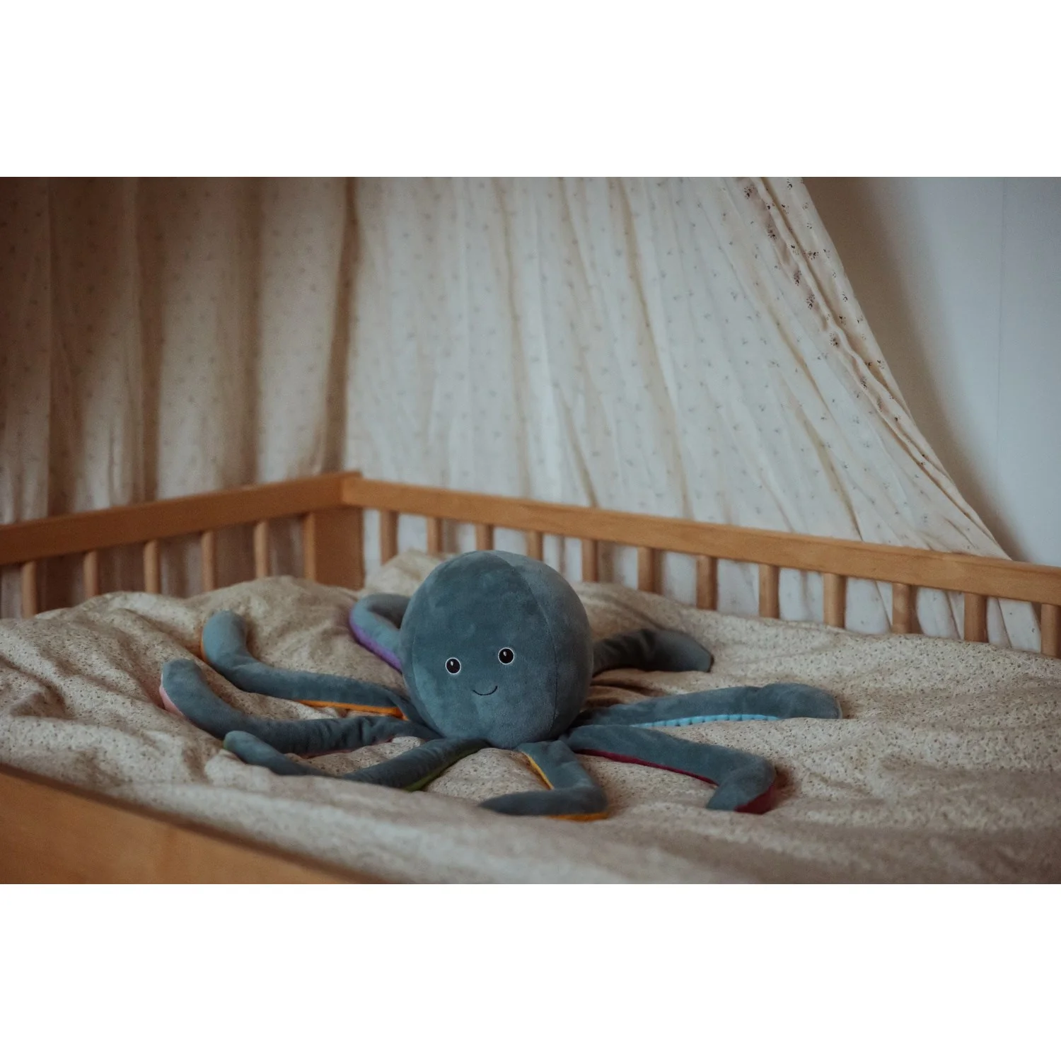 by Astrup Gravity, Octopus, 1.2 kg - Image 2