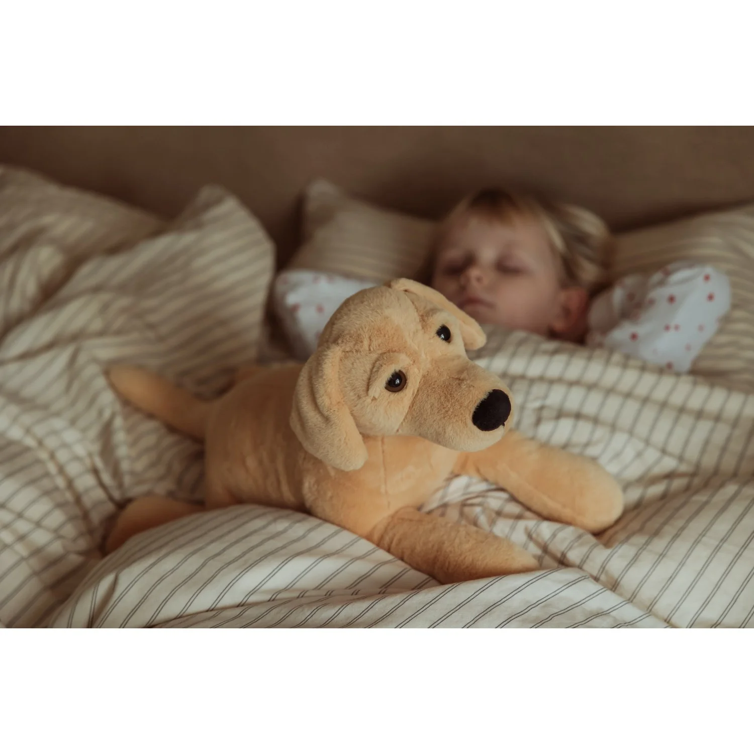 by Astrup Gravitational Dog, 2.2 kg. - Image 2