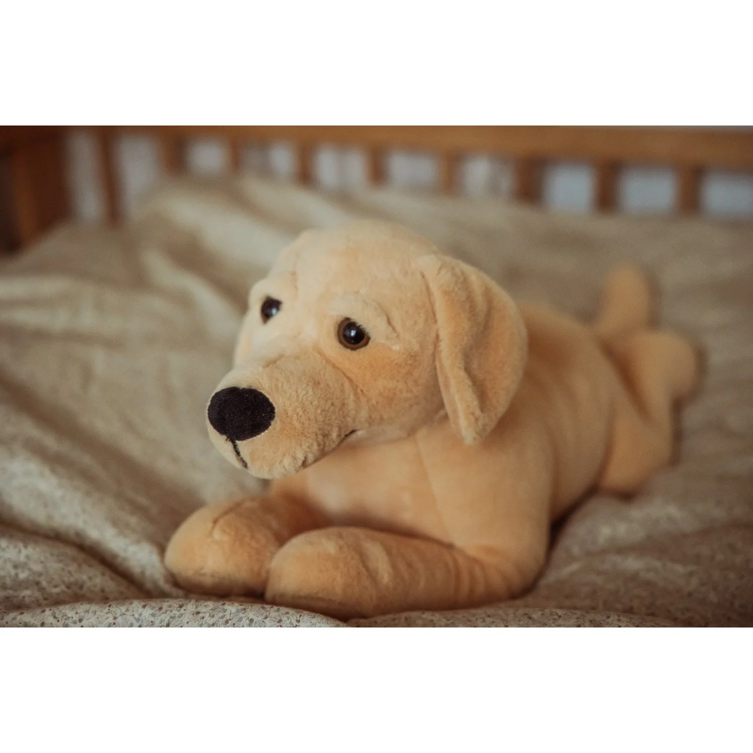 by Astrup Gravitational Dog, 2.2 kg. - Image 3