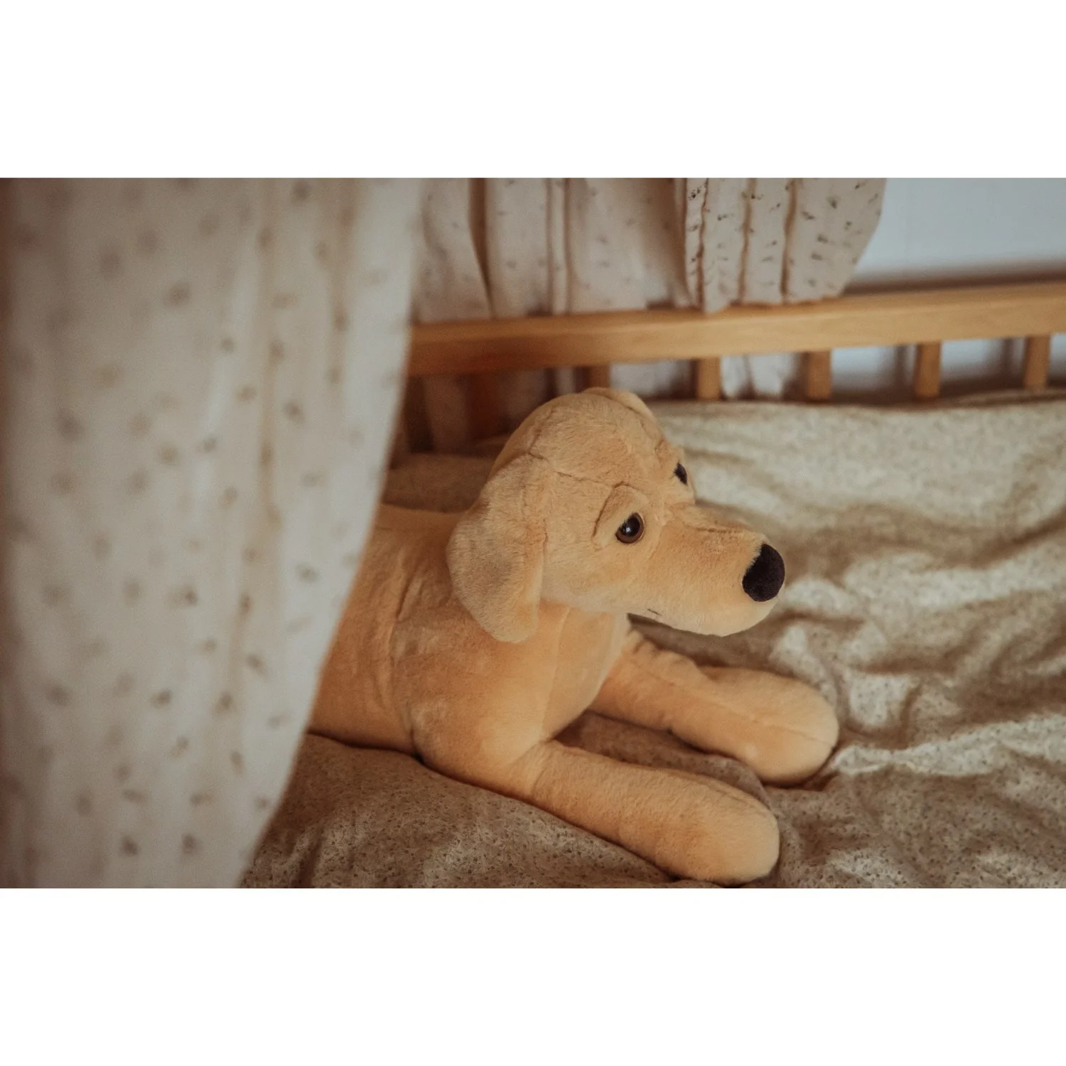 by Astrup Gravitational Dog, 2.2 kg. - Image 4