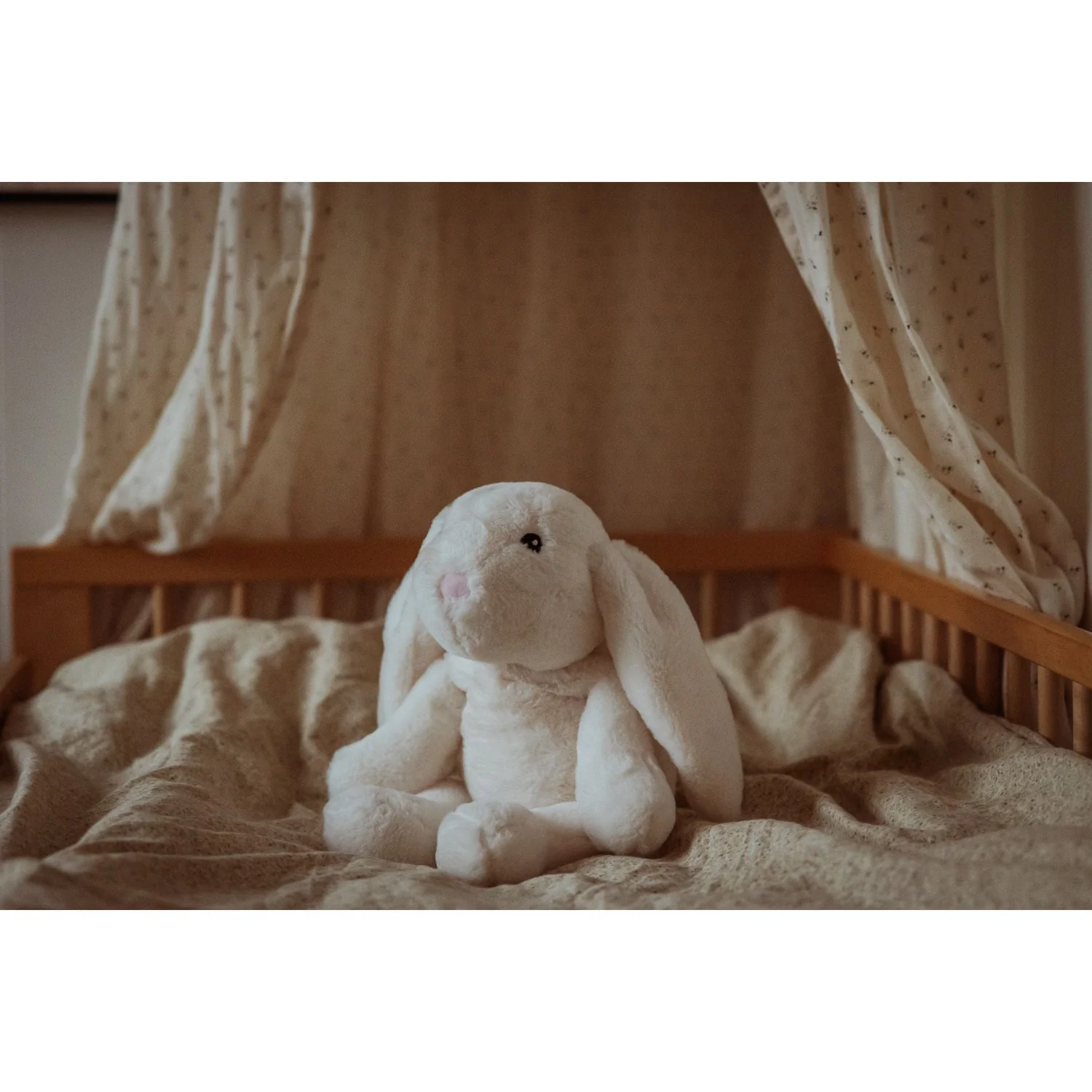by Astrup Gravitational Animal, Rabbit, 1.2 kg. - Image 9