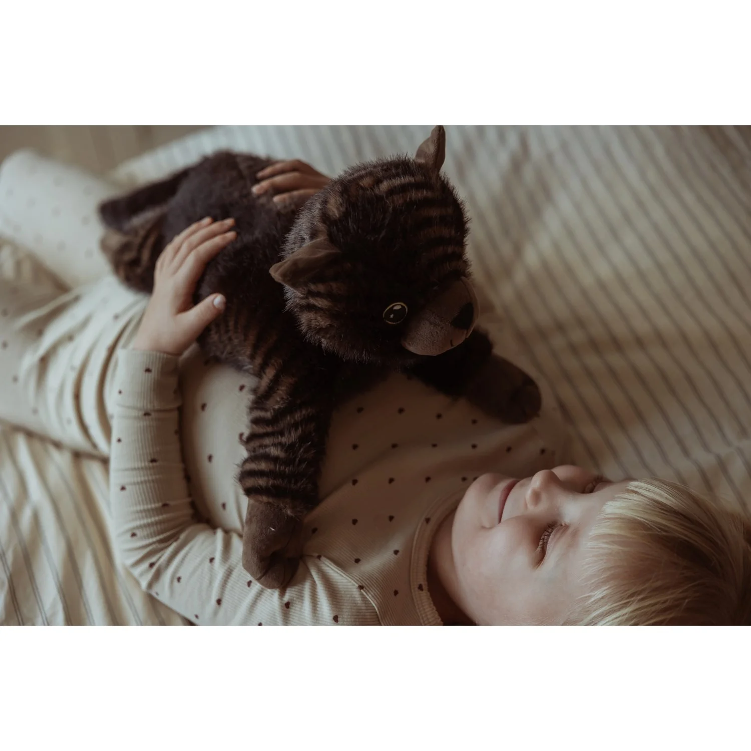 by Astrup Gravity, cat, 1.2 kg. - Image 10