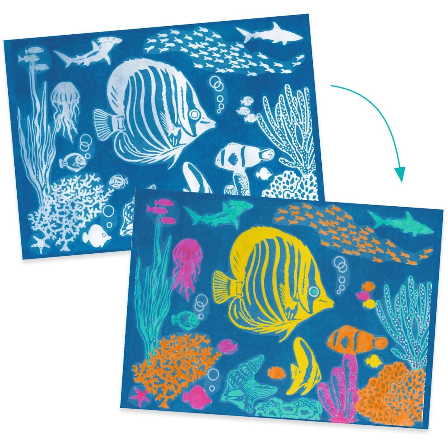 Djeco Cyanotype/Light Print, Sea - Image 2