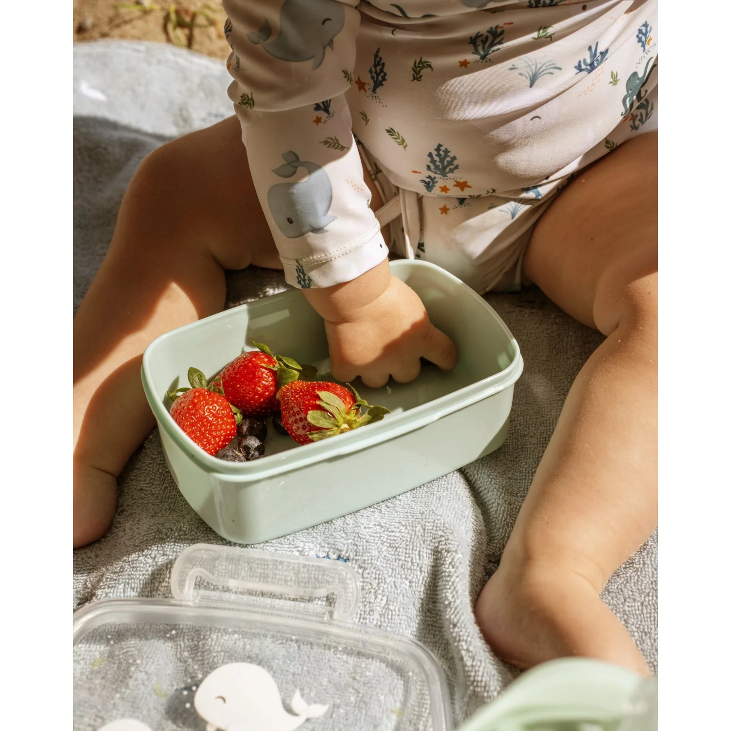 FILIBABBA Lunch Box 2 Pack - Image 6