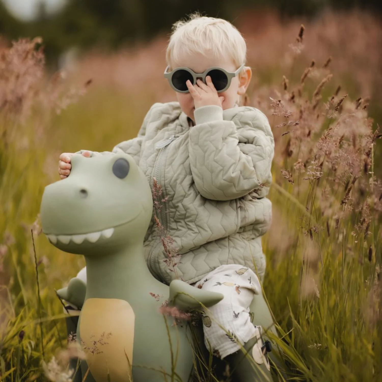 Find that Hippo Hoppe-Dyr - Dexter Dino - Image 2