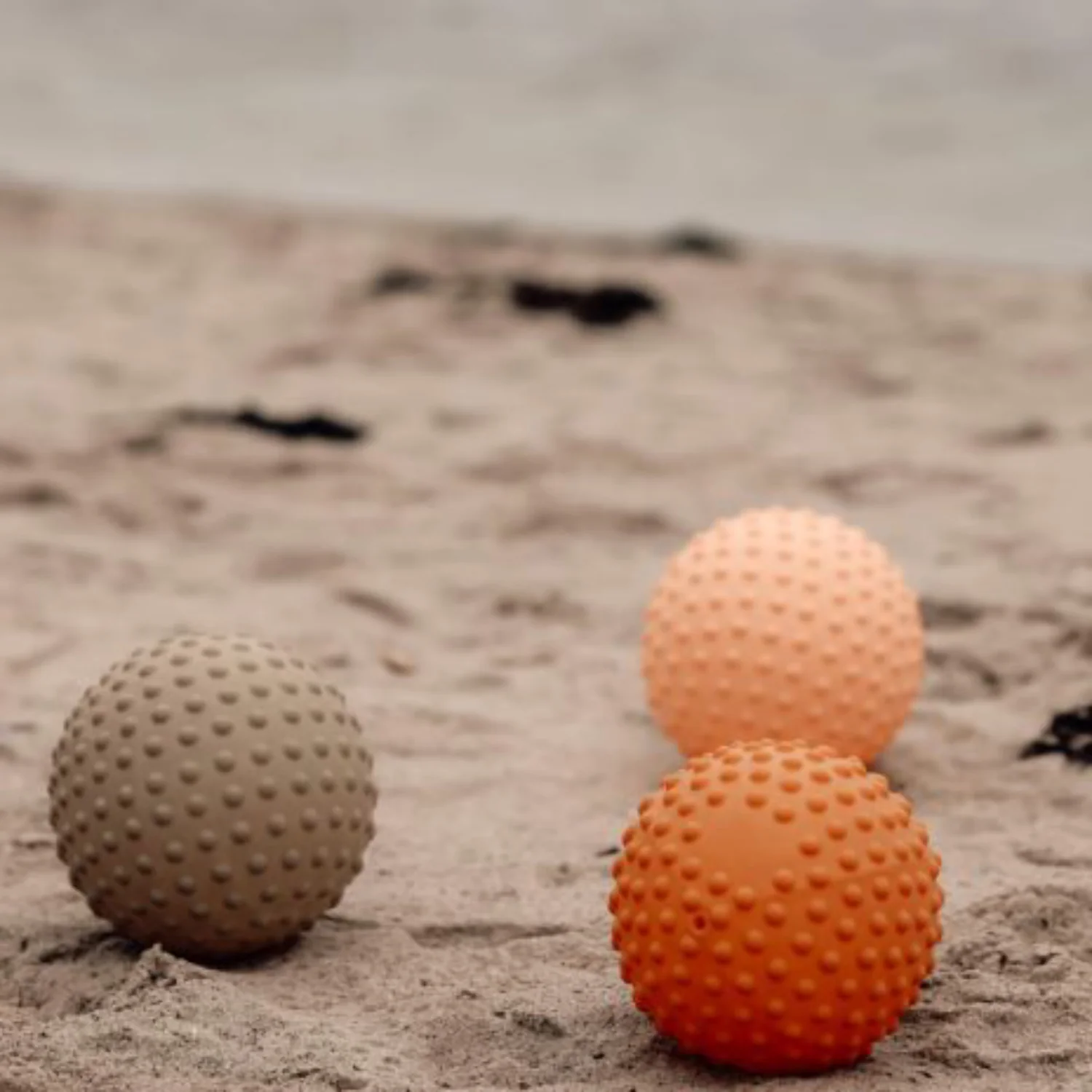 Find that Hippo Stor Sansebold - 1 Stk. Pakke, Color Desert Sand - Image 3