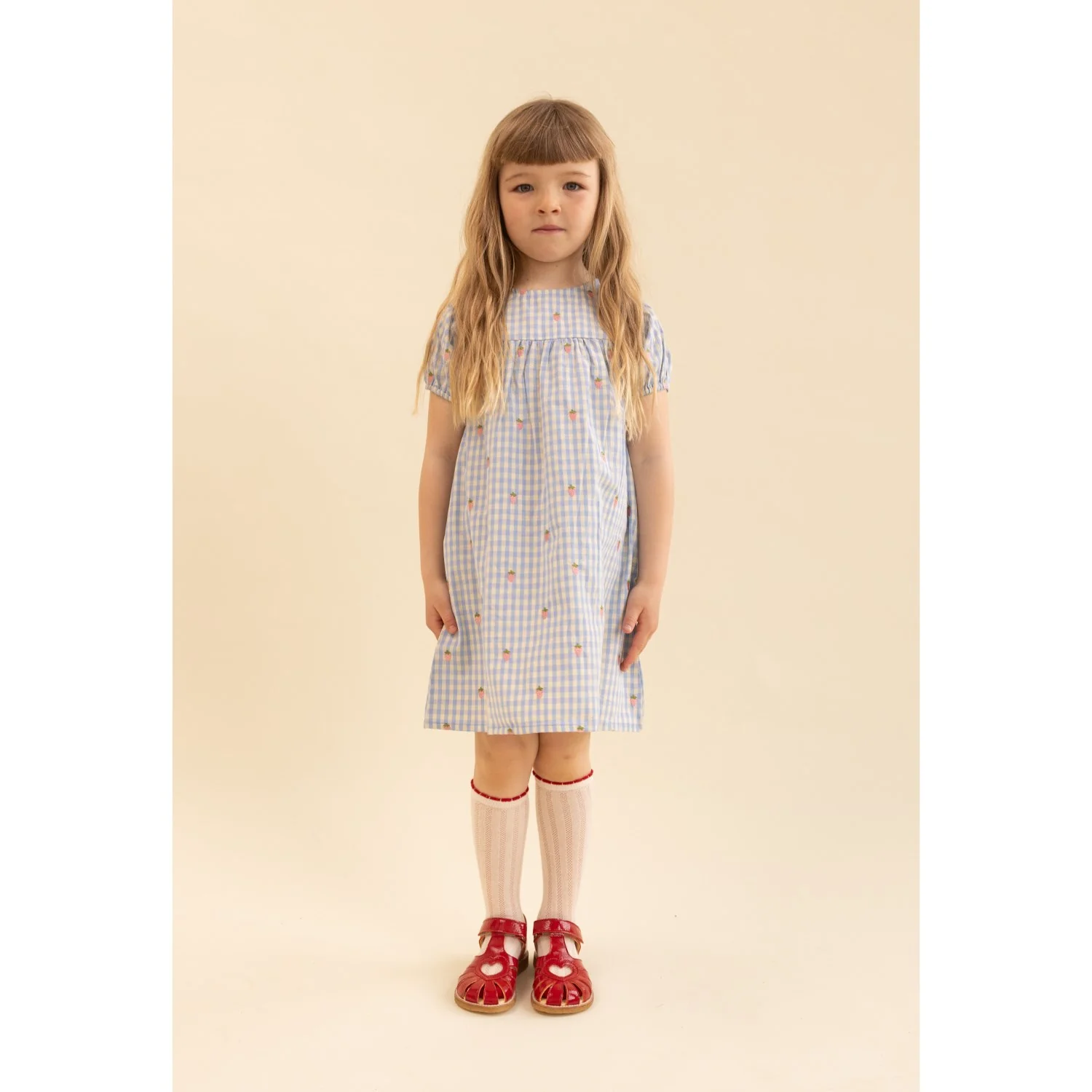 Flöss Sky Berry Gingham Mille SS Dress - Image 2
