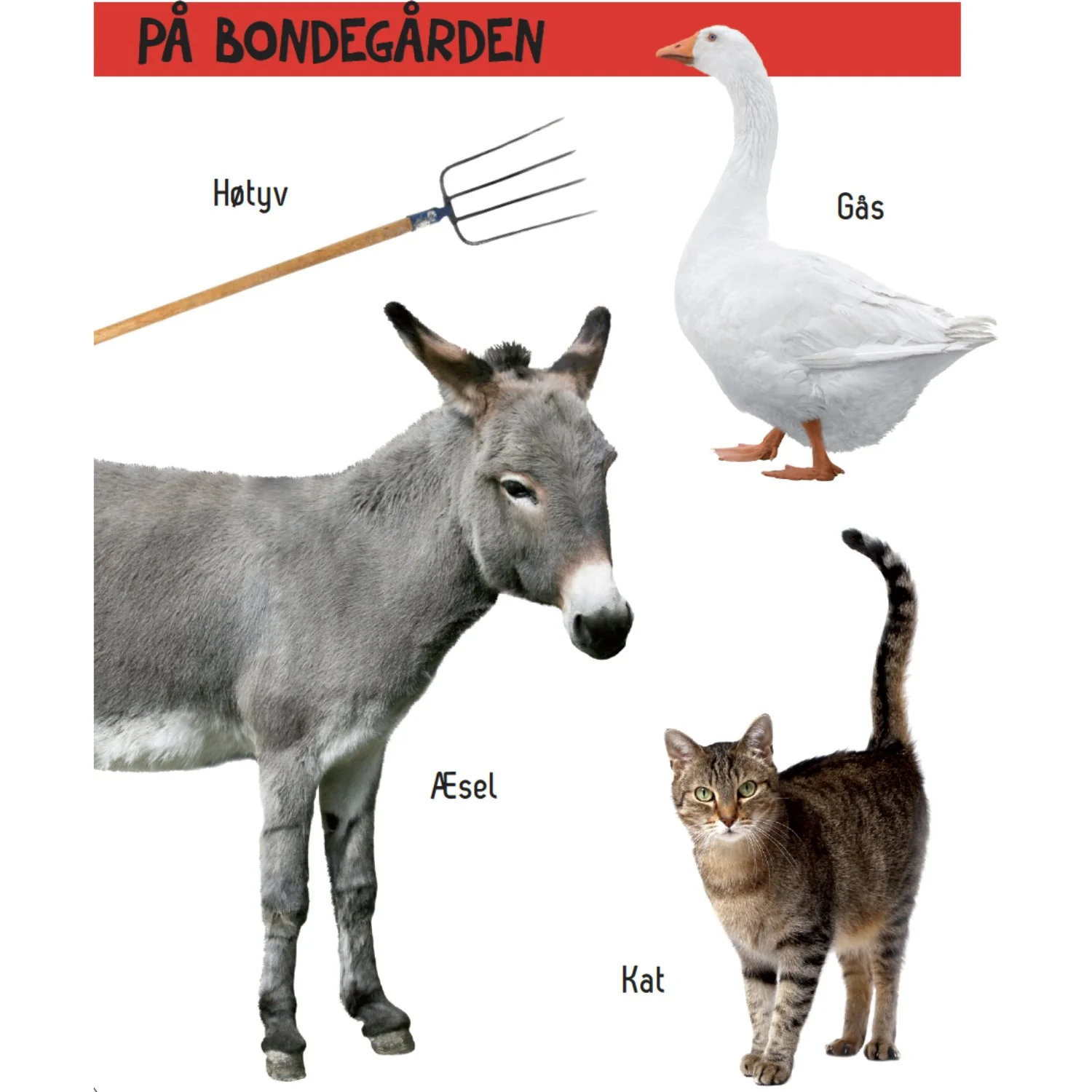 Forlaget Tukan Kig Engang - Hvad Er Det? Bondegård - Image 2