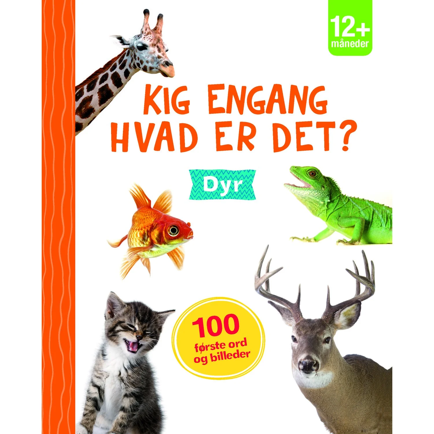 Forlaget Tukan Kig Engang - Hvad Er Det? Dyr - Image 5
