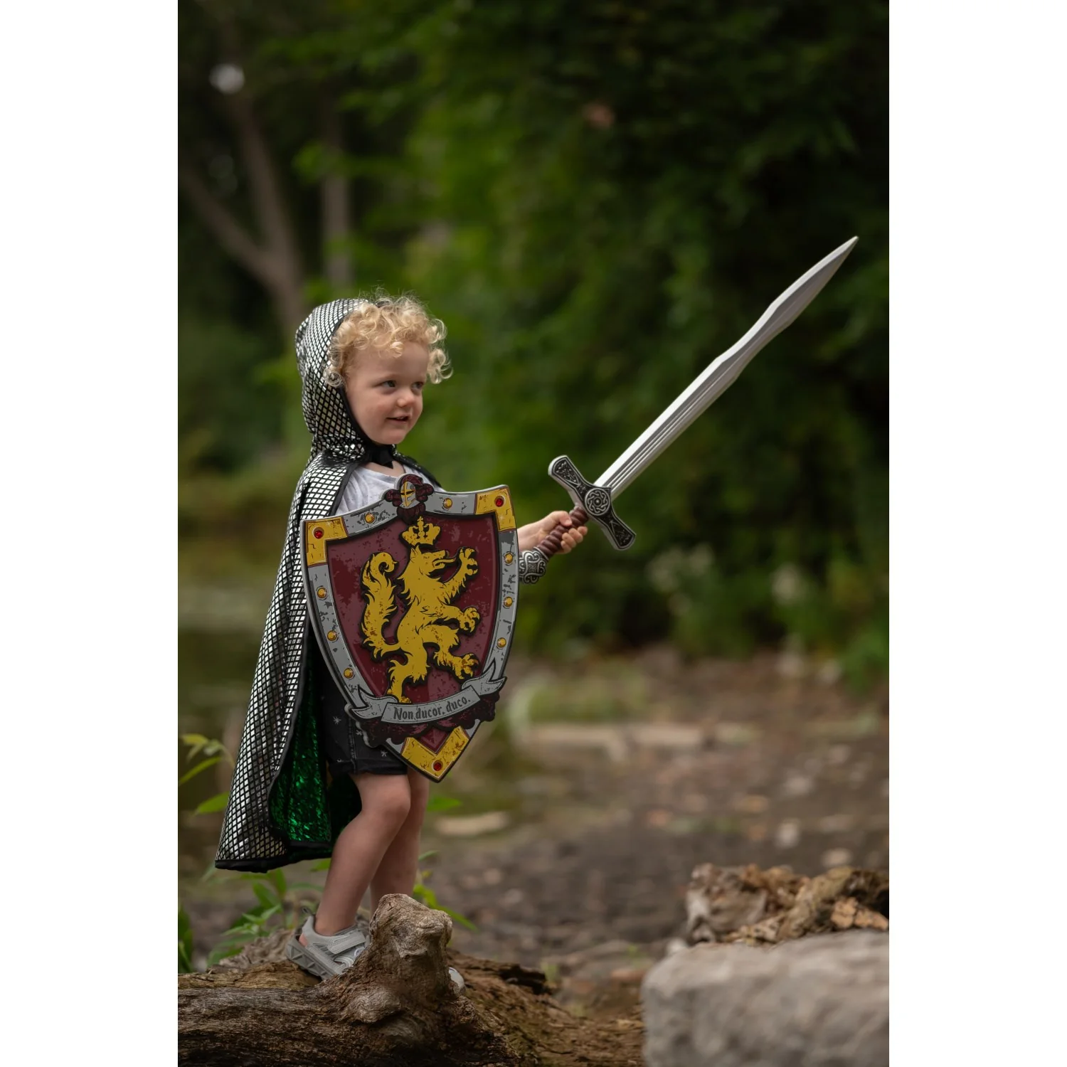 Great Pretenders Knights Honour EVA Shield - Image 2