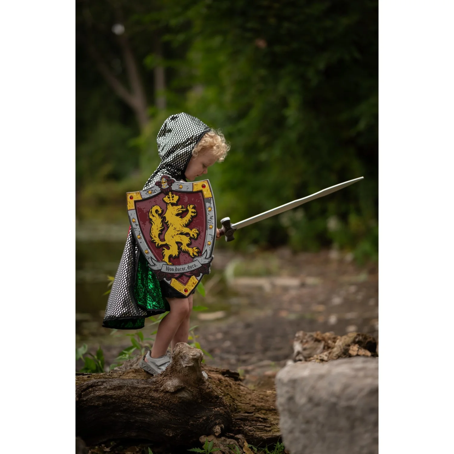 Great Pretenders Knights Honour EVA Shield - Image 3