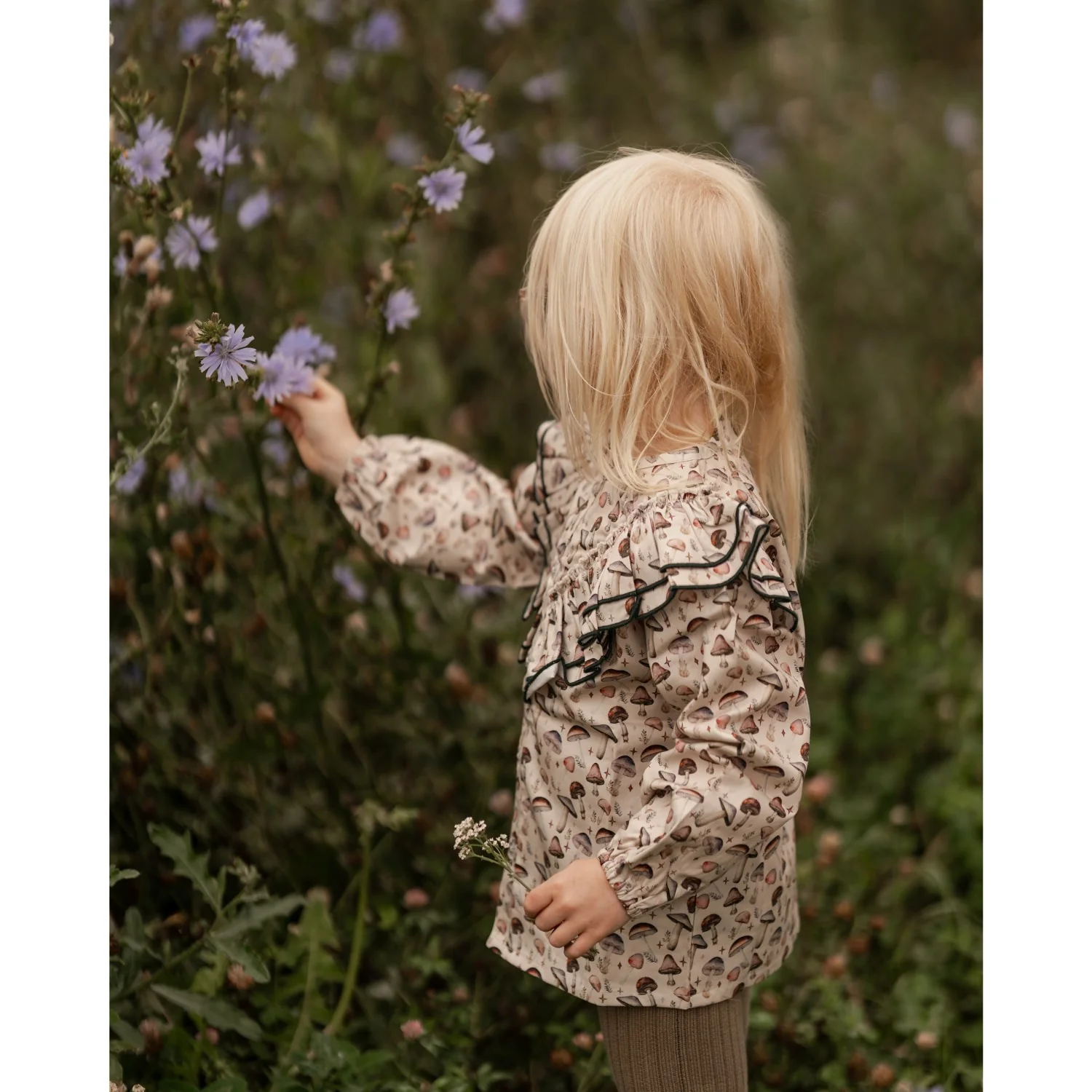 Hanevild Rainy Mushroom Shirt - Image 14