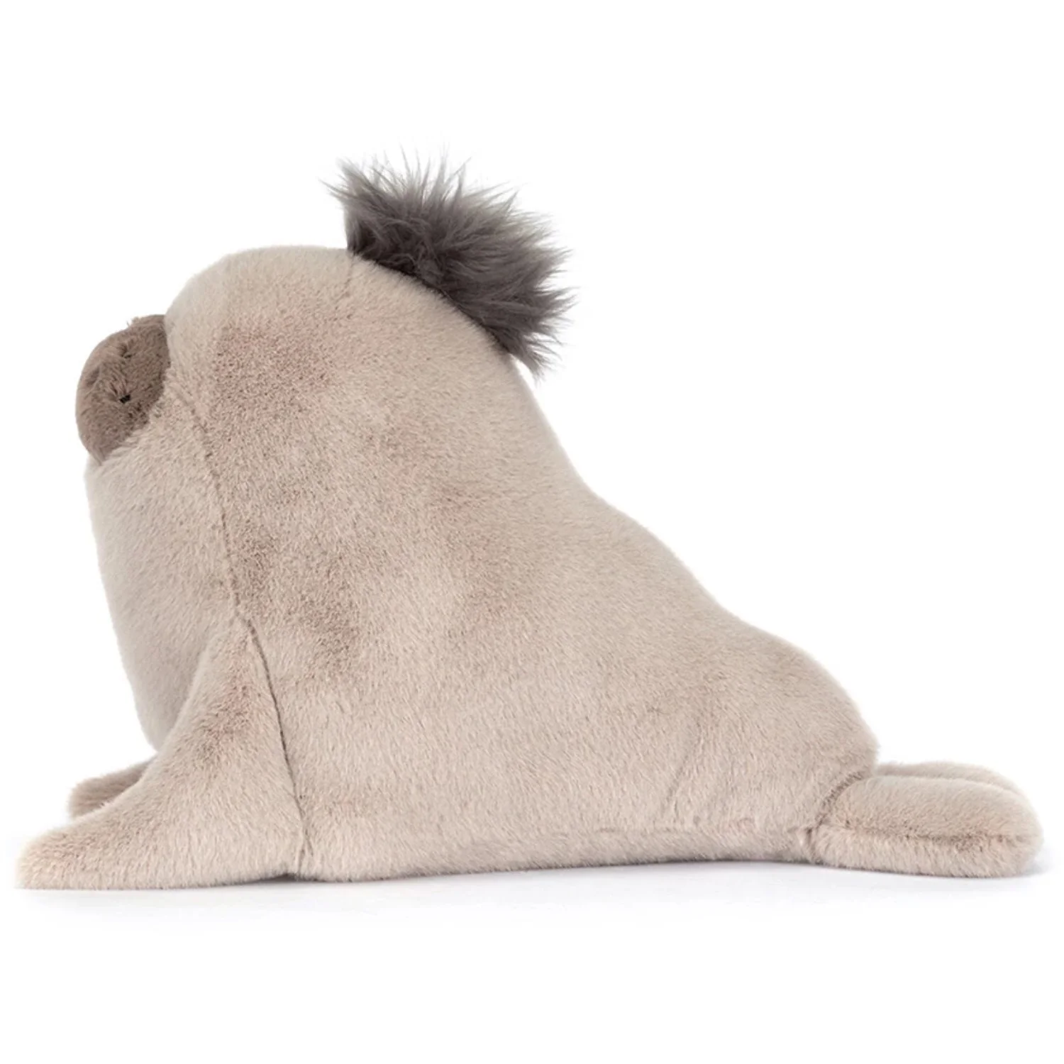 Jellycat Roarwell Sea Lion - Image 3