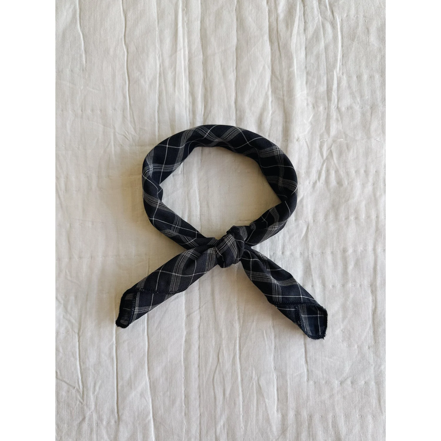 Lalaby Blue Check Eddie Scarf