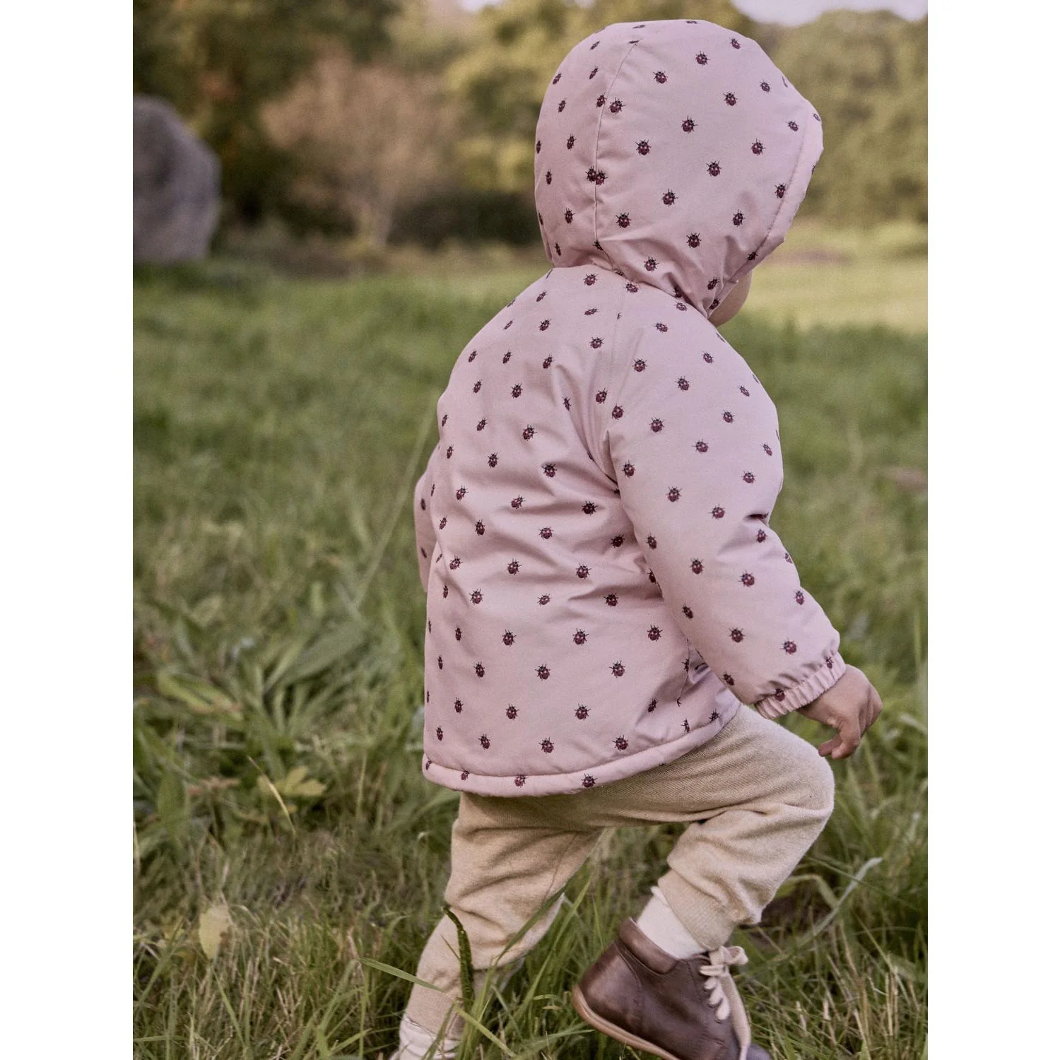 Lil'Atelier Misty Rose Ladybug Nbflasnow05 Jkt Aop Fo Lil - Image 2