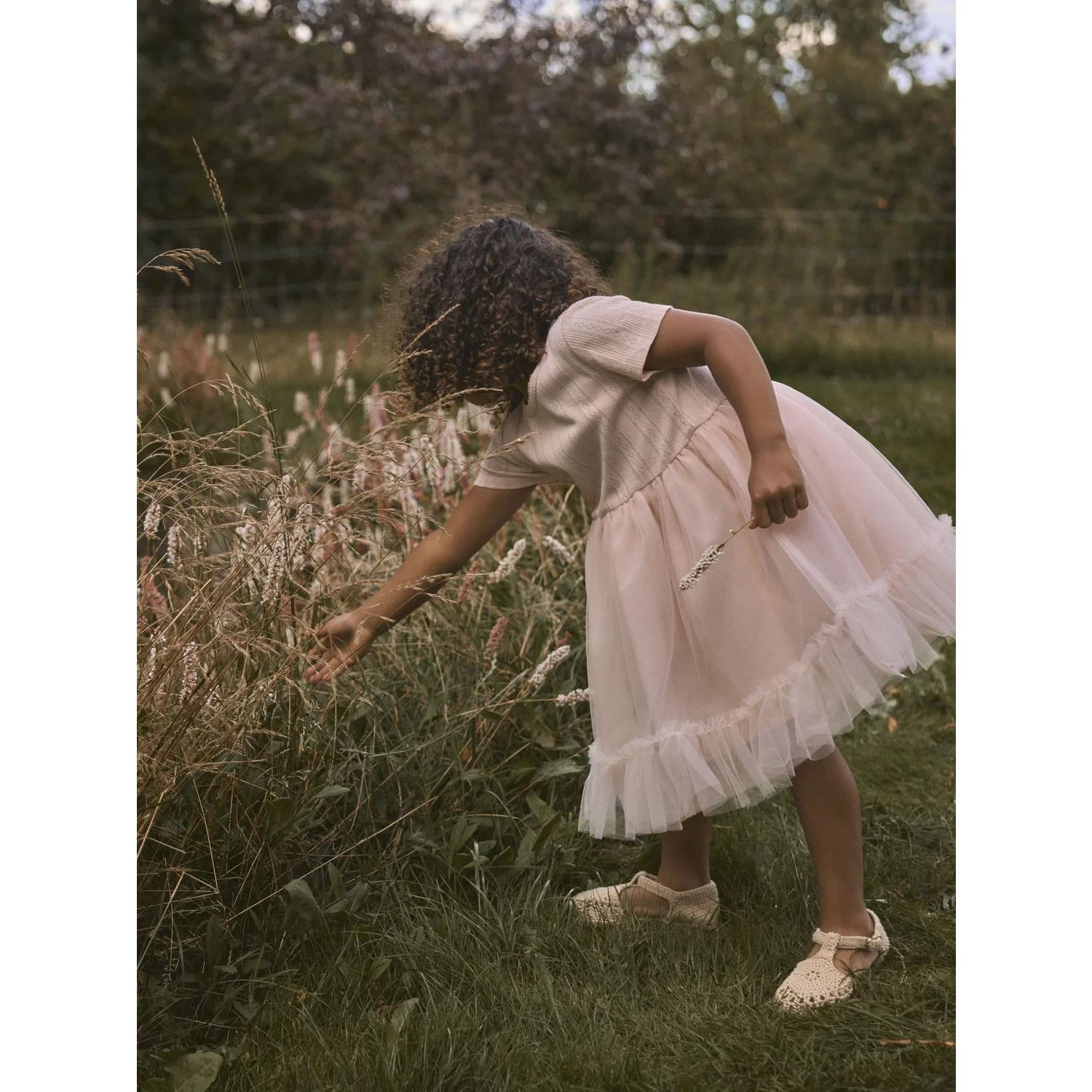 Lil'Atelier Peach Whip Nmffanella Ss Tulle Dress Lil - Image 2