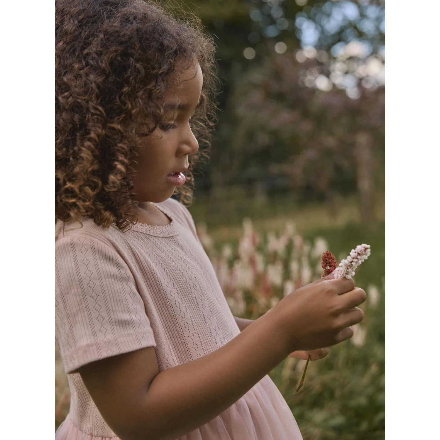 Lil'Atelier Peach Whip Nmffanella Ss Tulle Dress Lil - Image 3
