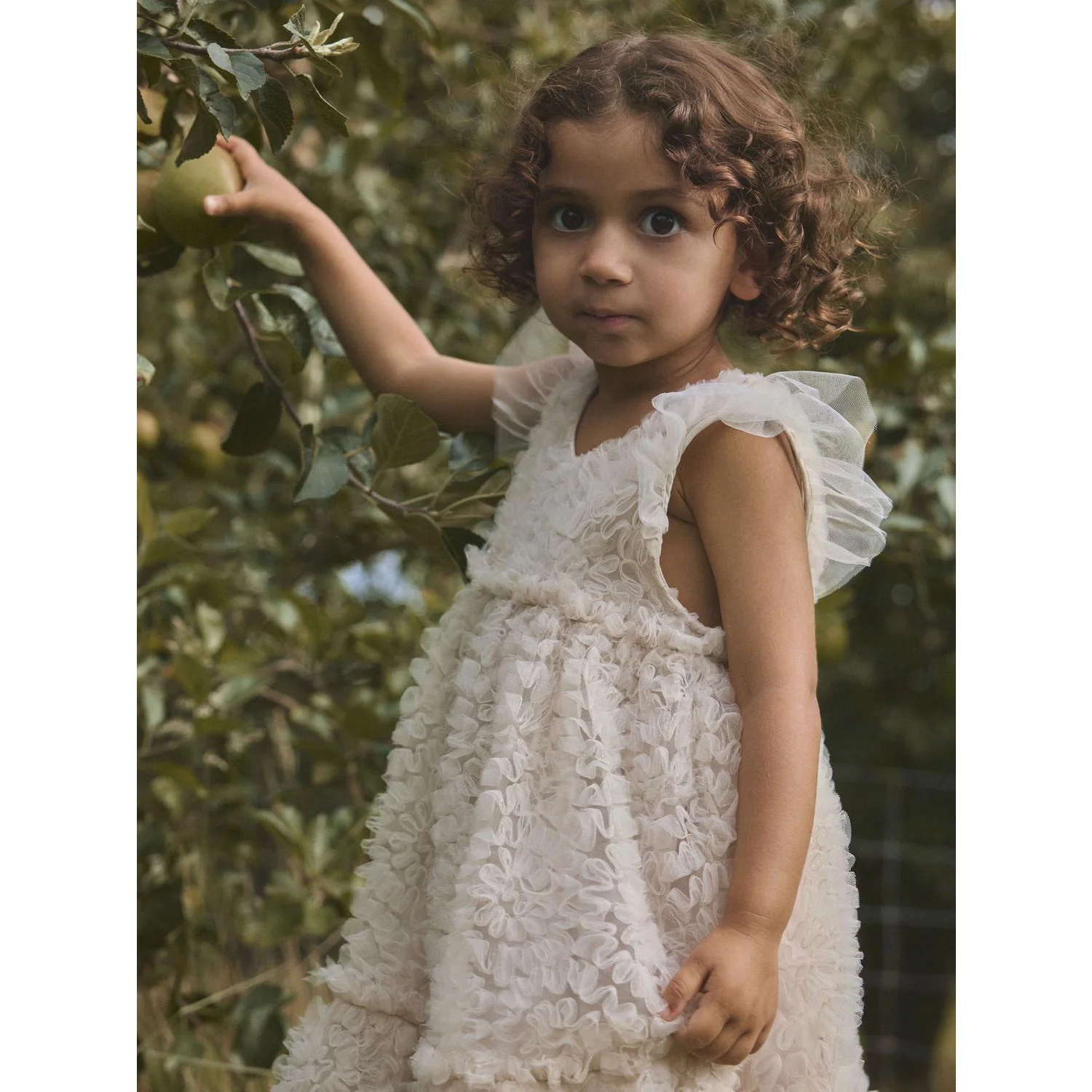 Lil'Atelier Pumice Stone Nmffauna Capsl Tulle Dress Lil - Image 3