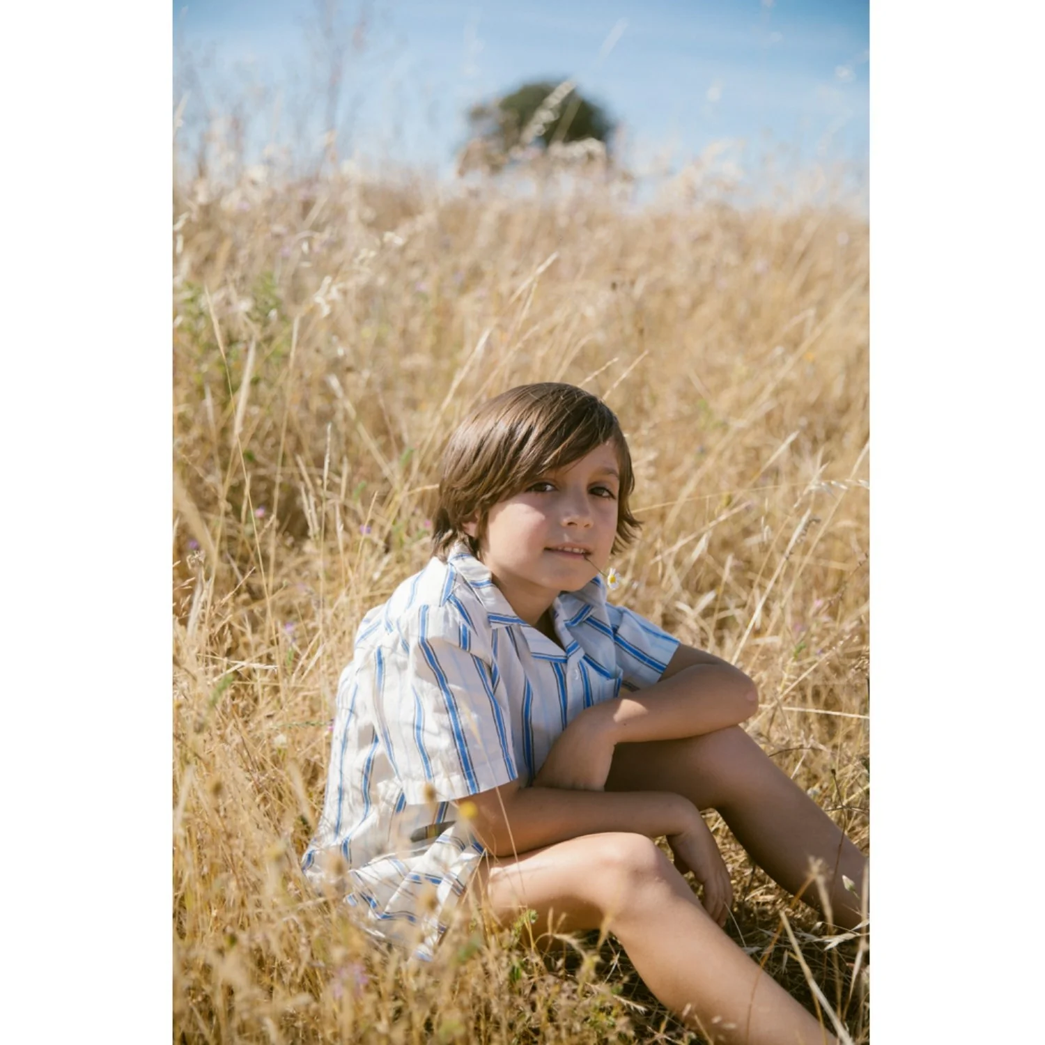 MarMar Cotton Stripes Chambray Stripe Tage T-shirt - Image 2