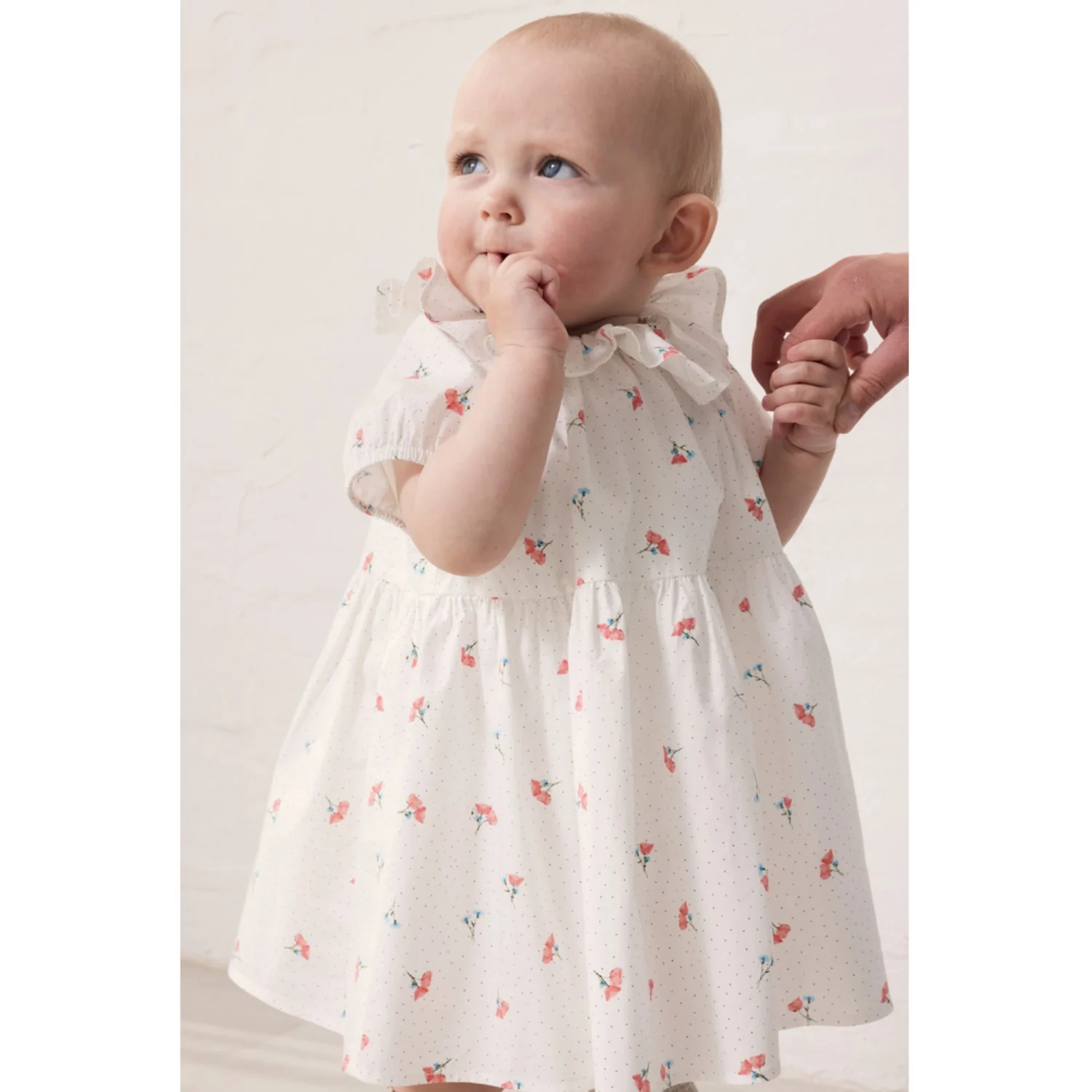 MarMar Poplin Poppy Dalino Dress - Image 2