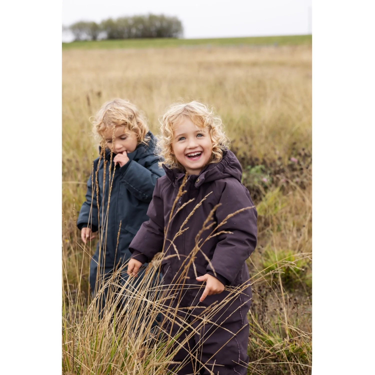 MarMar Tech. Outerwear Solid Deep Plum Ollie Suit - Image 6