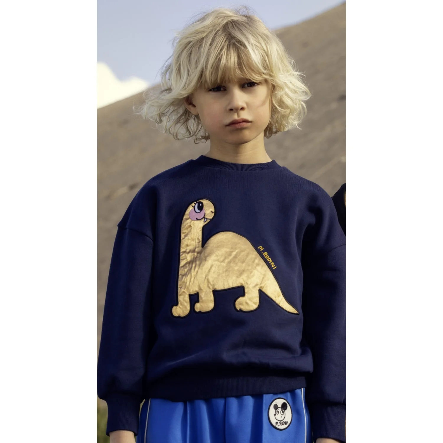 Mini Rodini Blue Dino Application Sweatshirt - Image 4