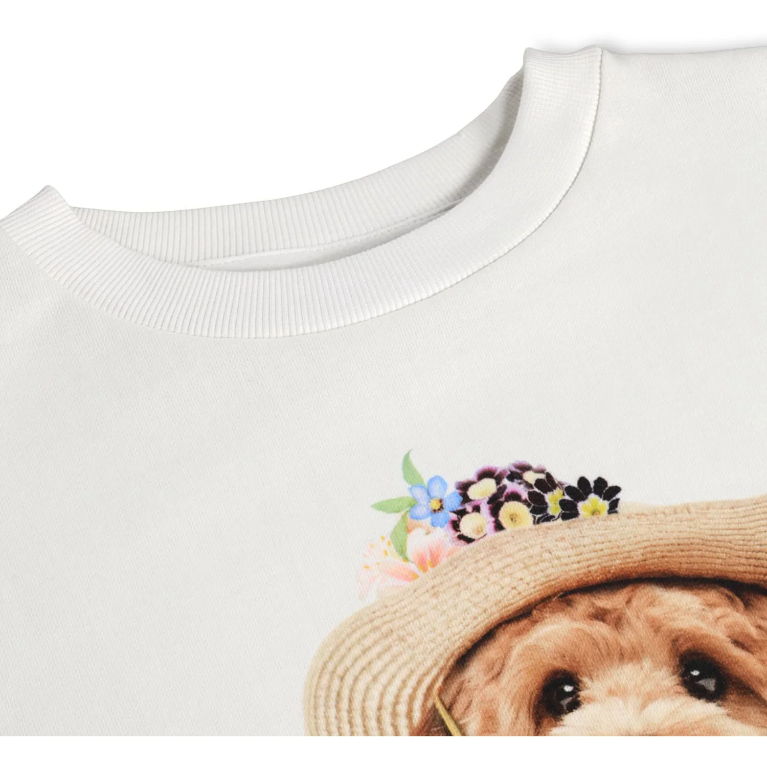 Molo Beach Ready Maxi Sweatshirt - Image 4