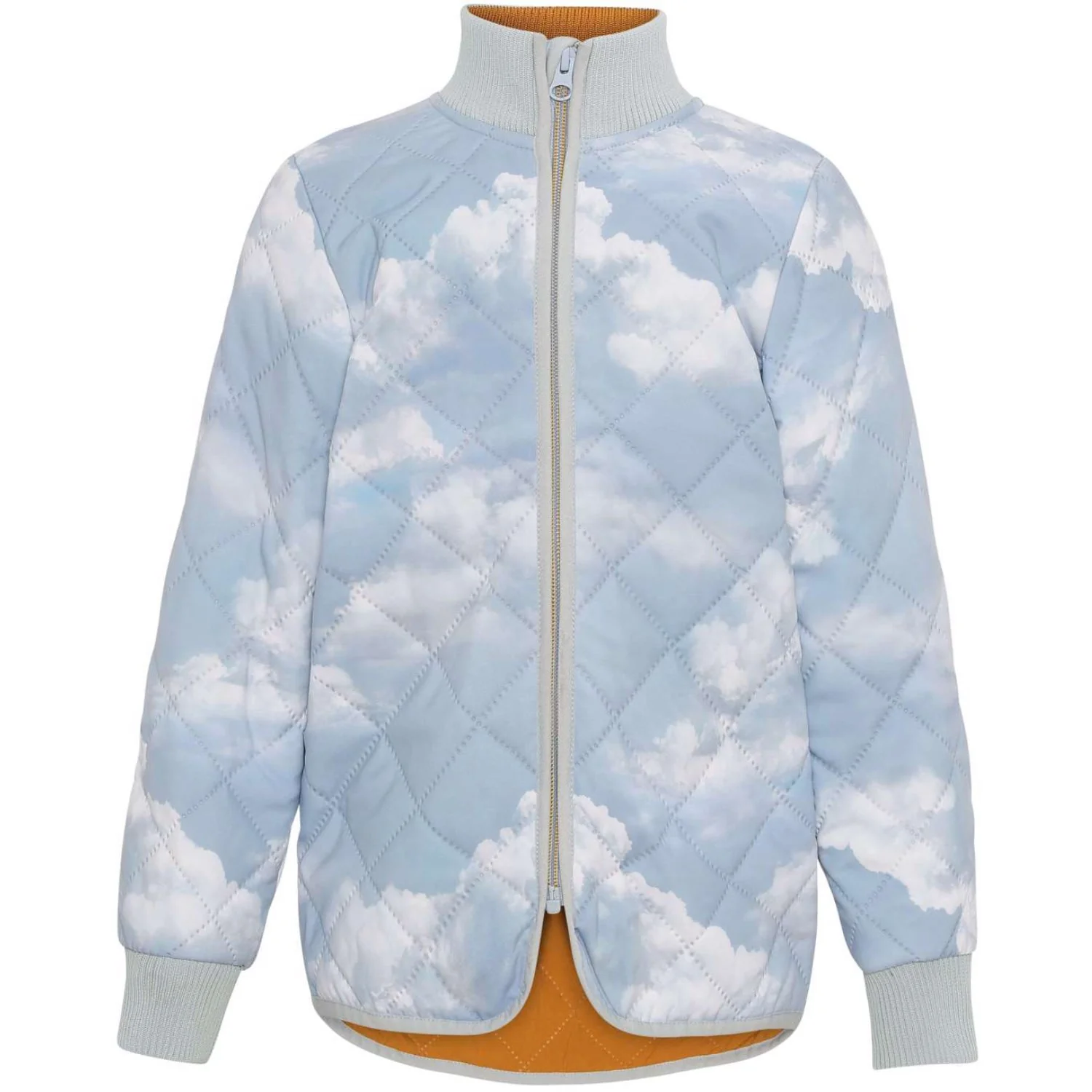 Molo Cloudy Day Husky Soft Shell Jacket