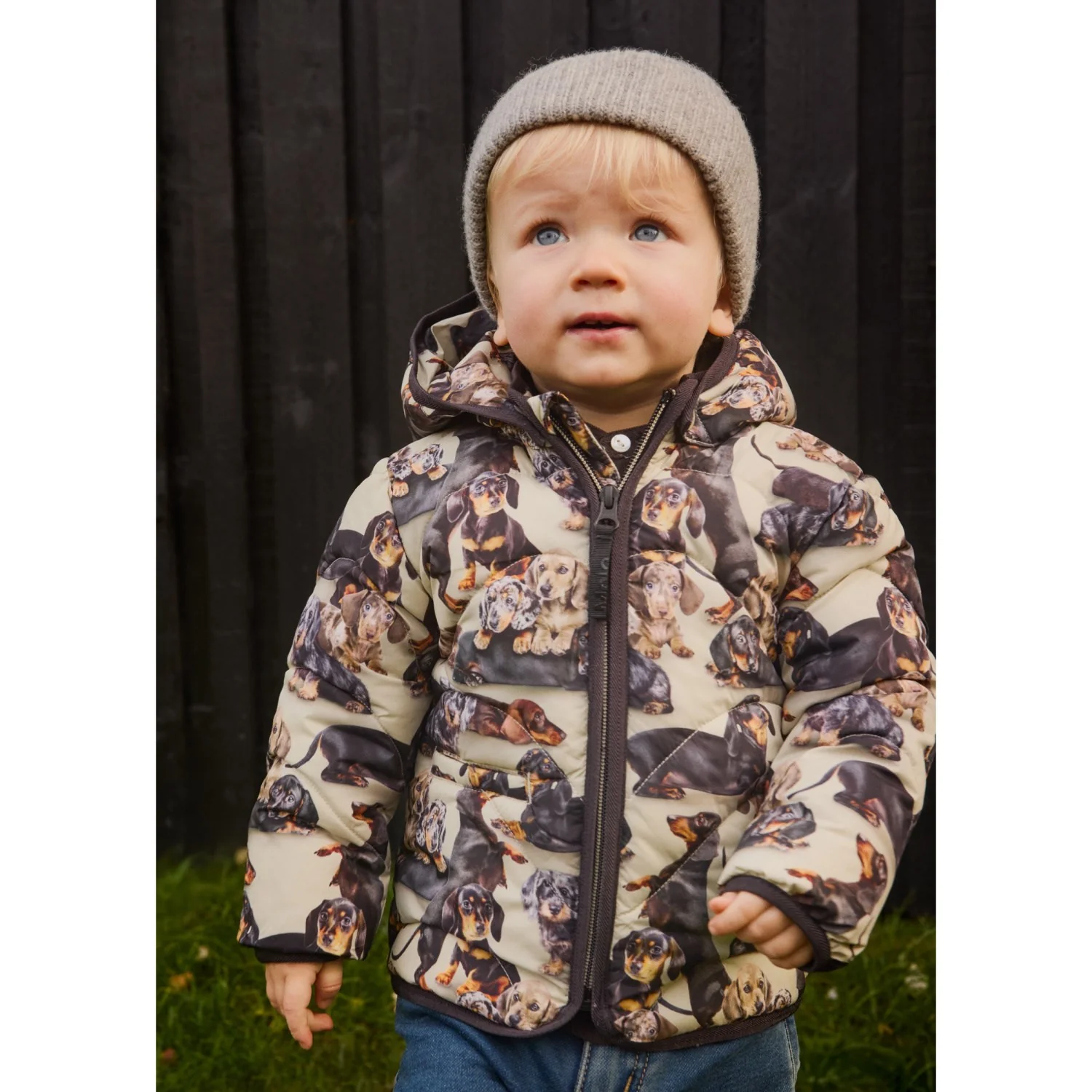 Molo Dashshund Soft Harmony Jacket - Image 2