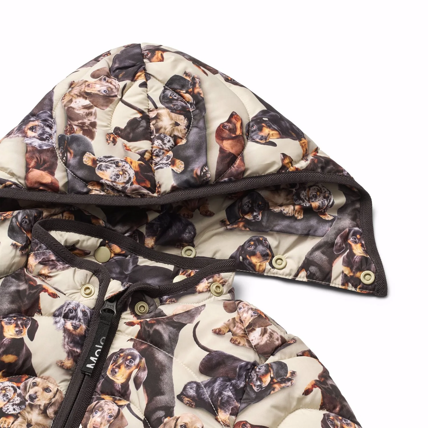 Molo Dashshund Soft Harmony Jacket - Image 3
