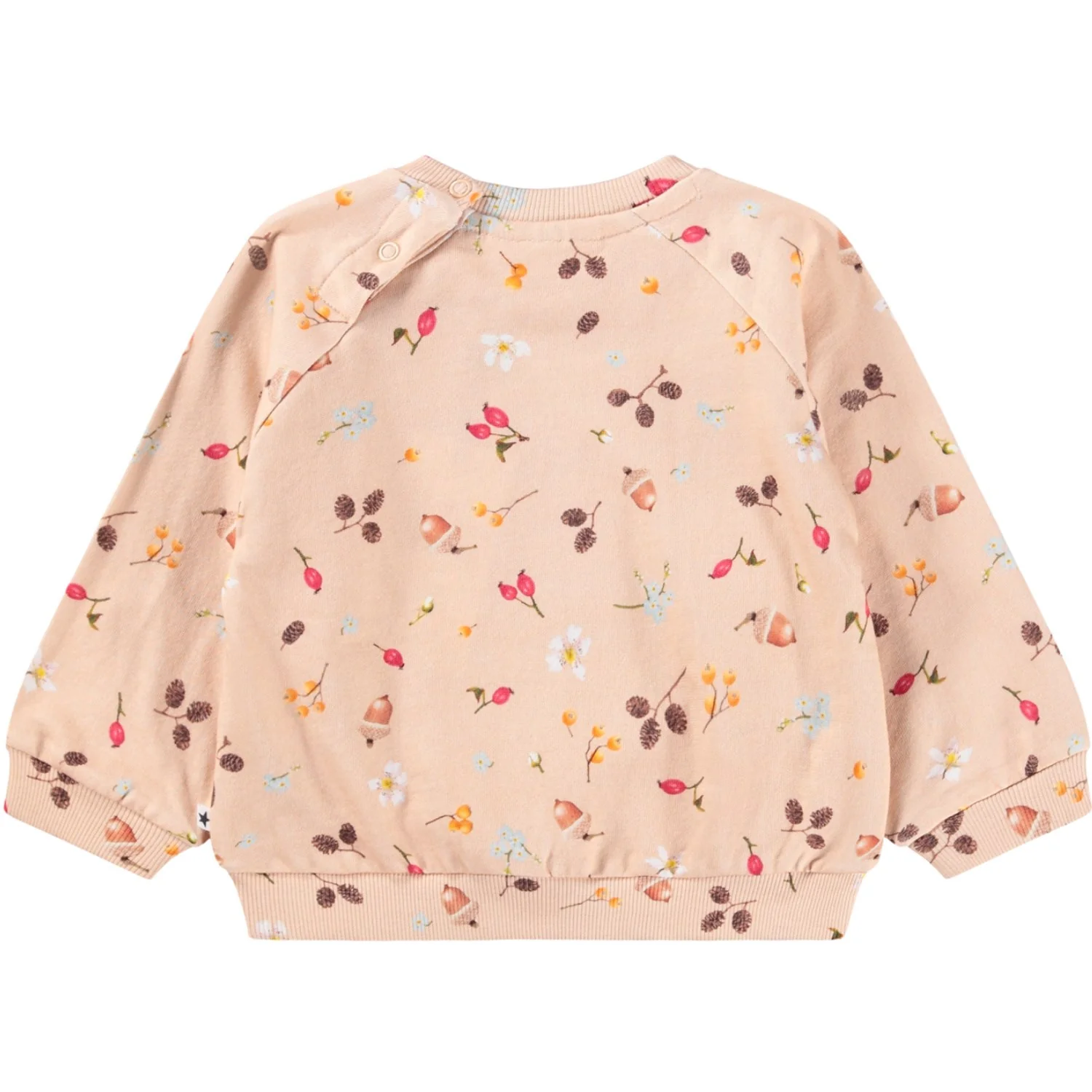 Molo Foraging Rose Disc Sweatshirt - Image 5