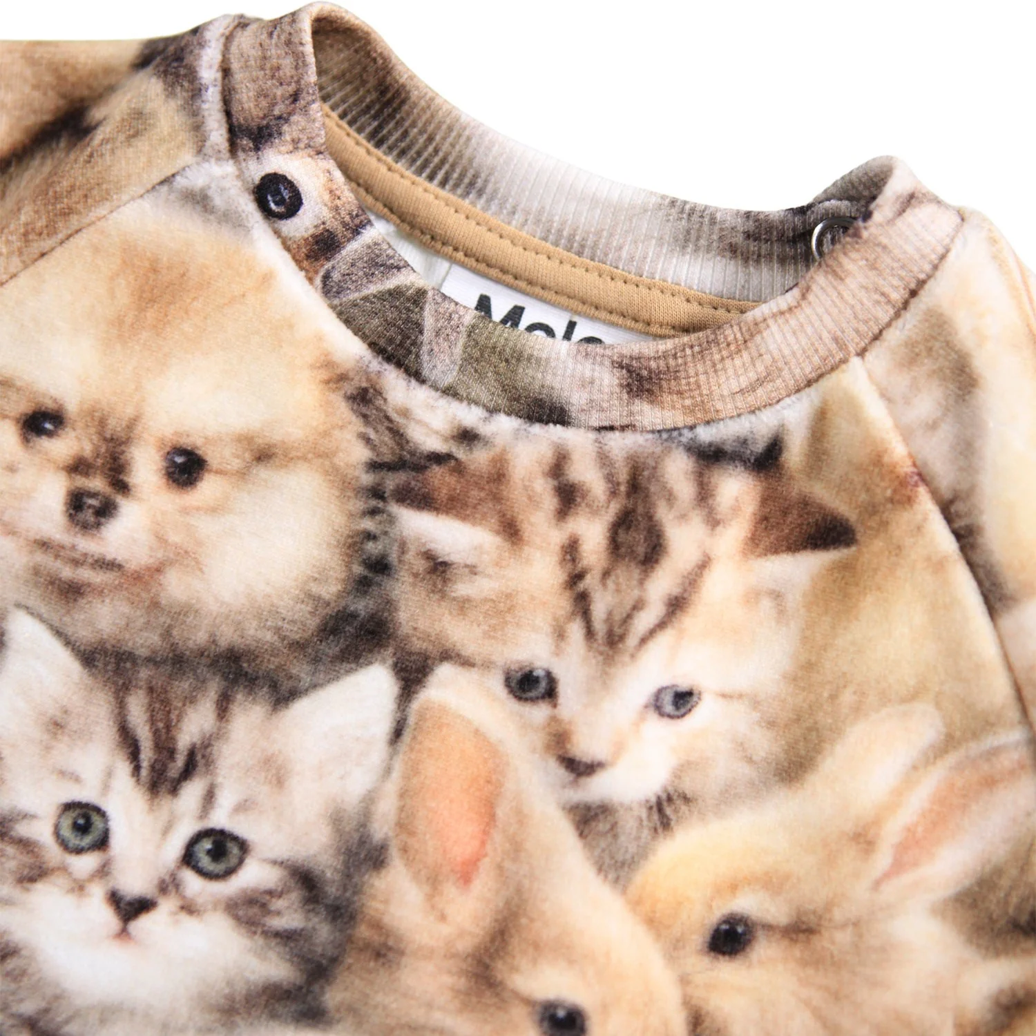 Molo Fuzzy Fluffy Disc Sweatshirt - Image 3