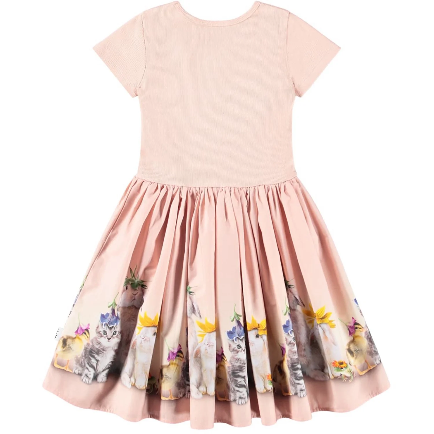 Molo Photobooth Cissa Dress - Image 4