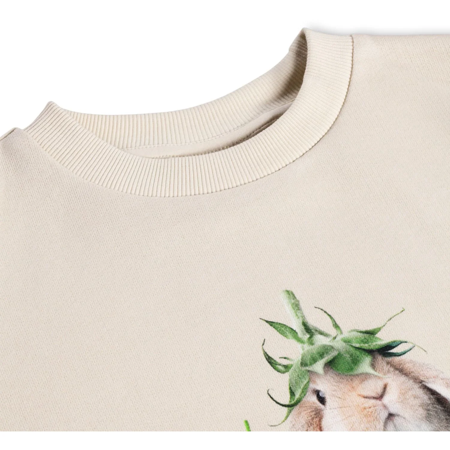 Molo Photobooth Maxi Sweatshirt - Image 2