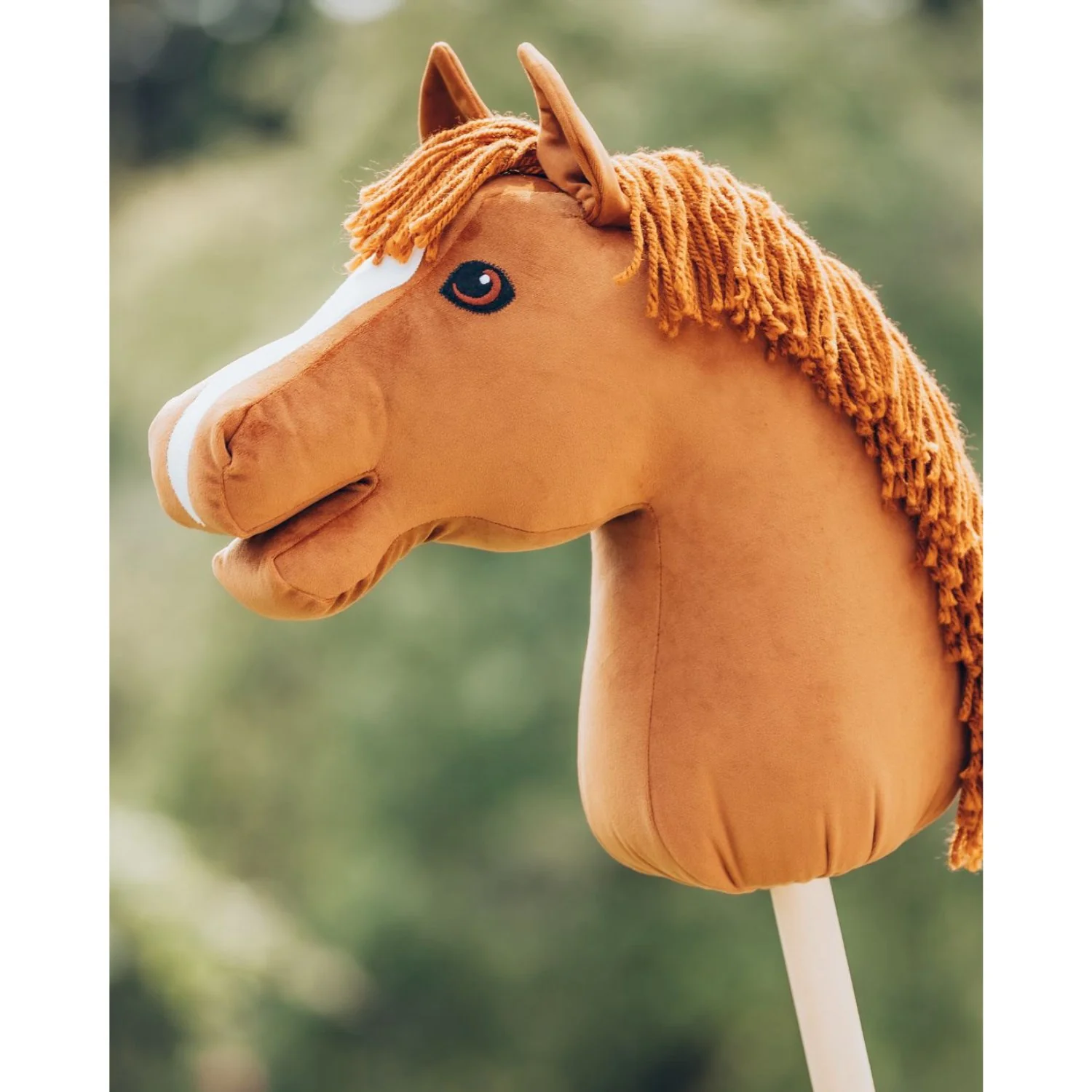 My Hobby Horse Fuks Kæphest Caristo - Image 2