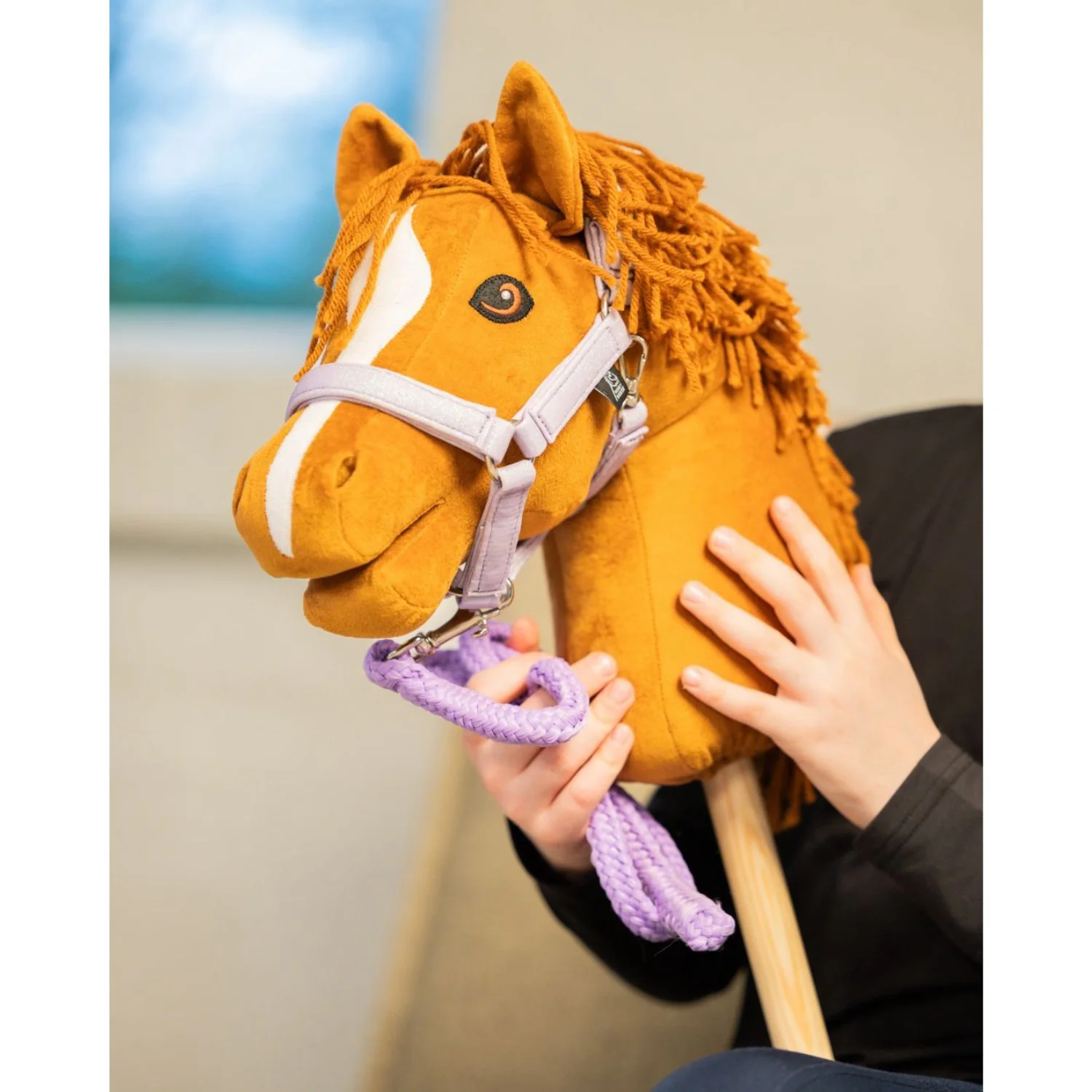 My Hobby Horse Purple Hobby Horse Pull Rope - Image 2
