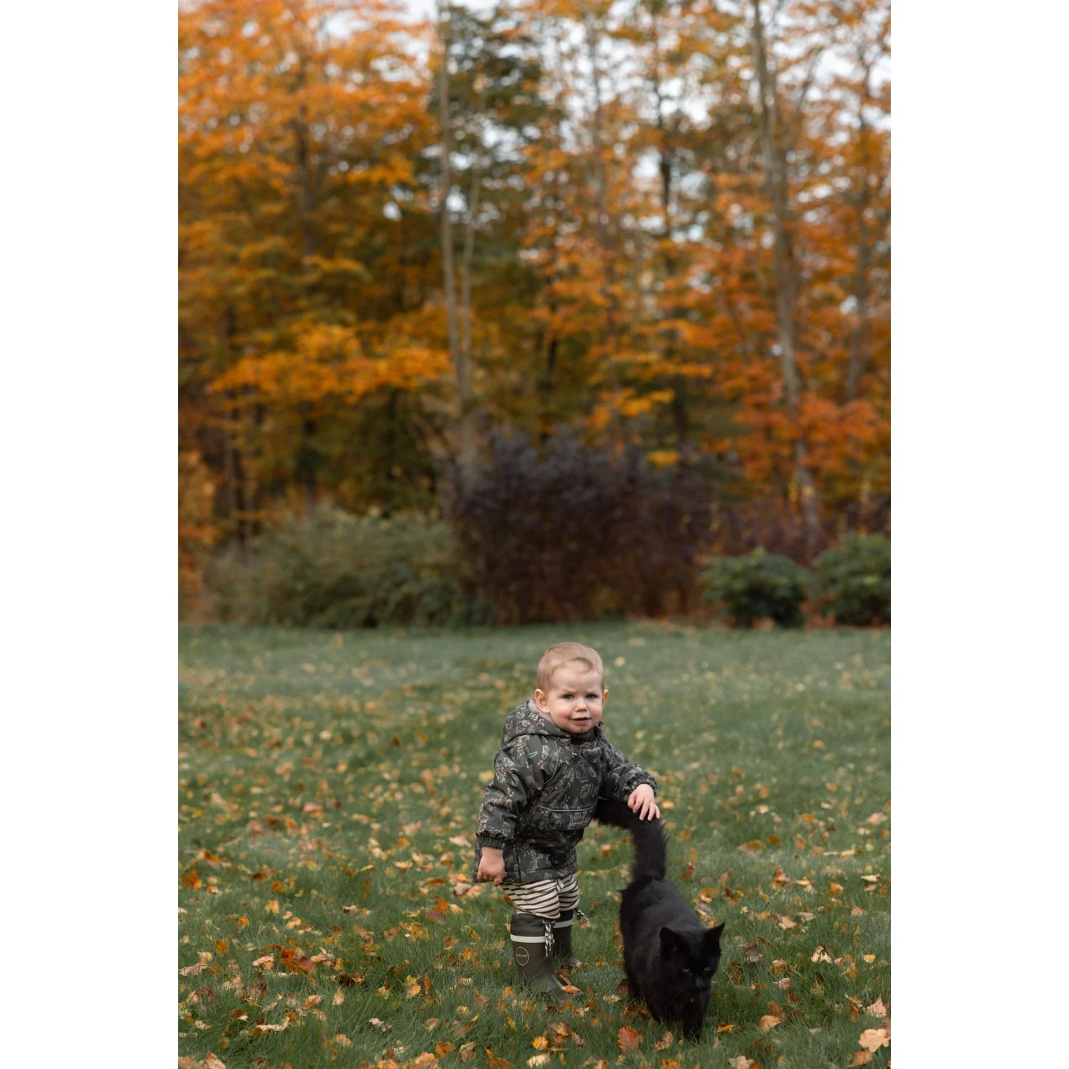 Petit Piao Oak AOP PPDard Winter Jacket - Image 3