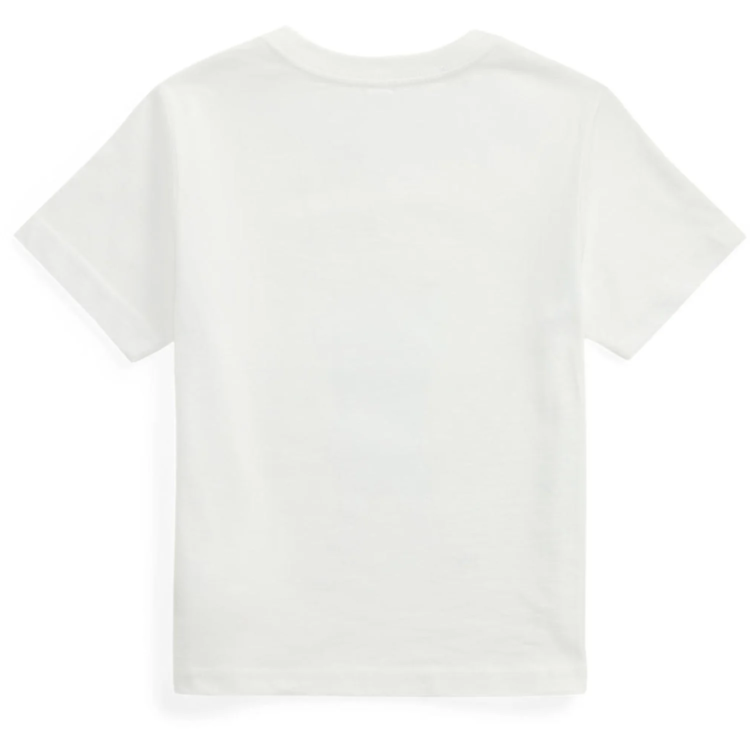 Polo Ralph Lauren Pf24 White Hyannis Bear T-Shirt - Image 2
