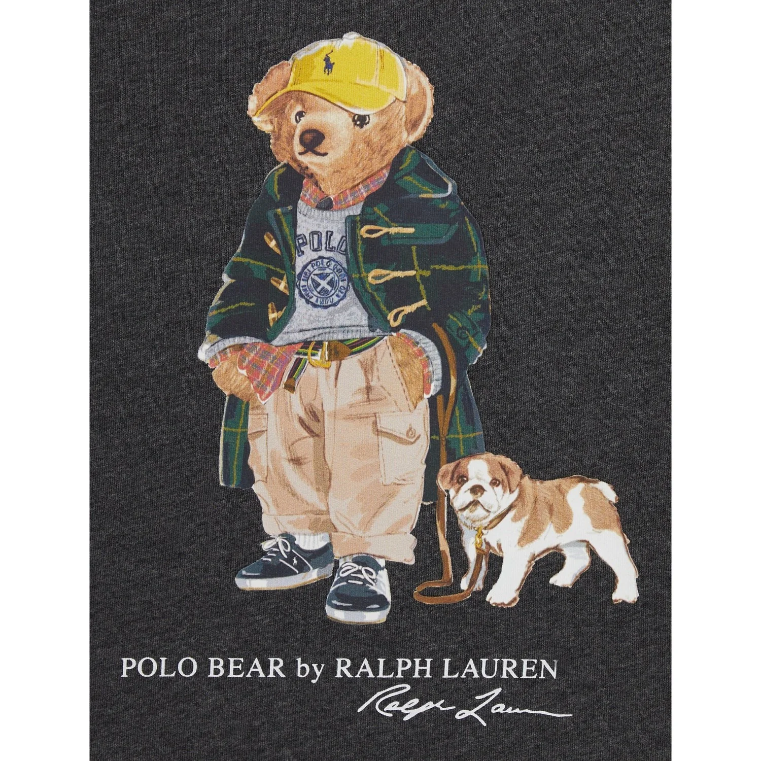 Polo Ralph Lauren Windsor Heather Boy Sweatshirt - Image 5