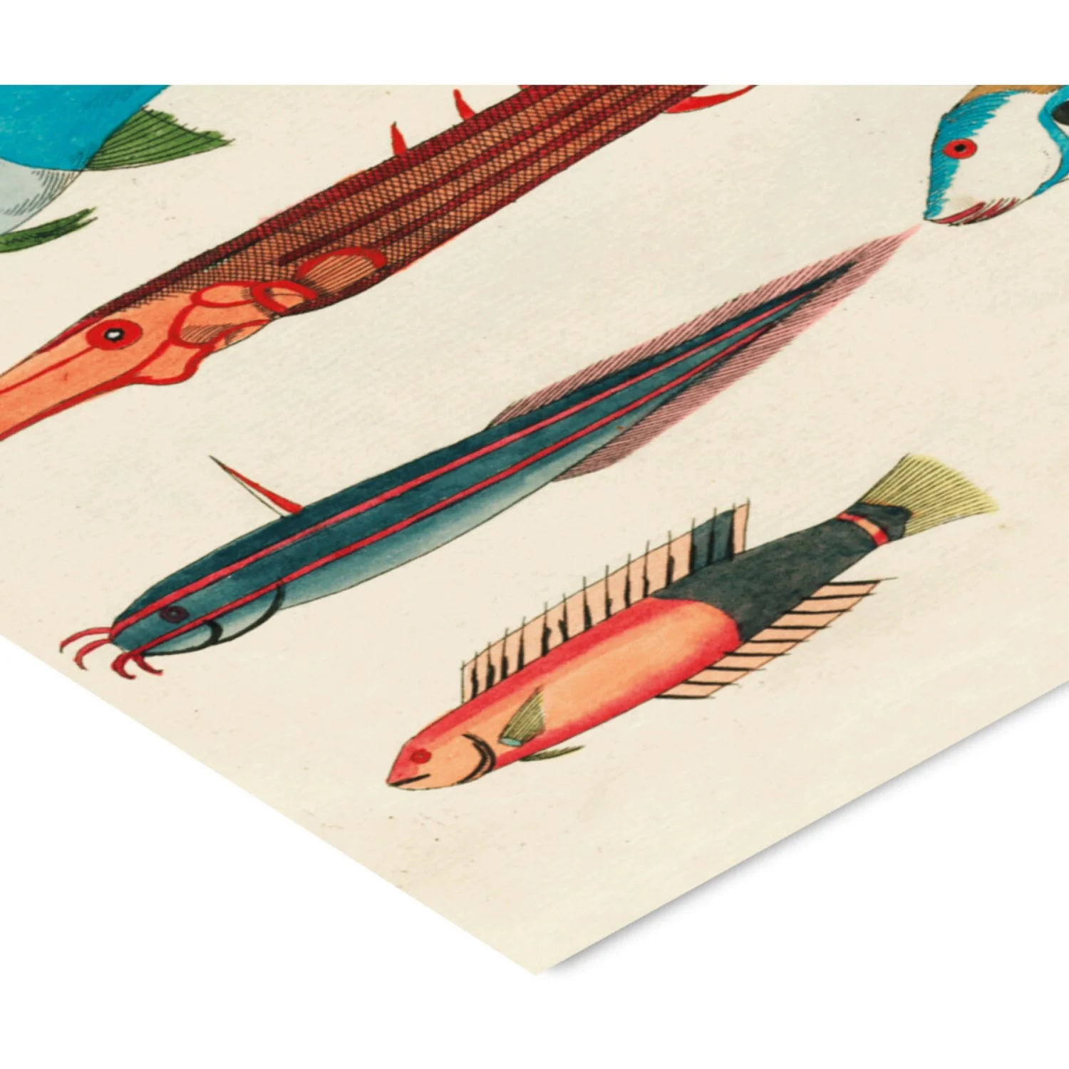 Poster & Frame Louis Renard - Colorful Fishes Lll - Image 3