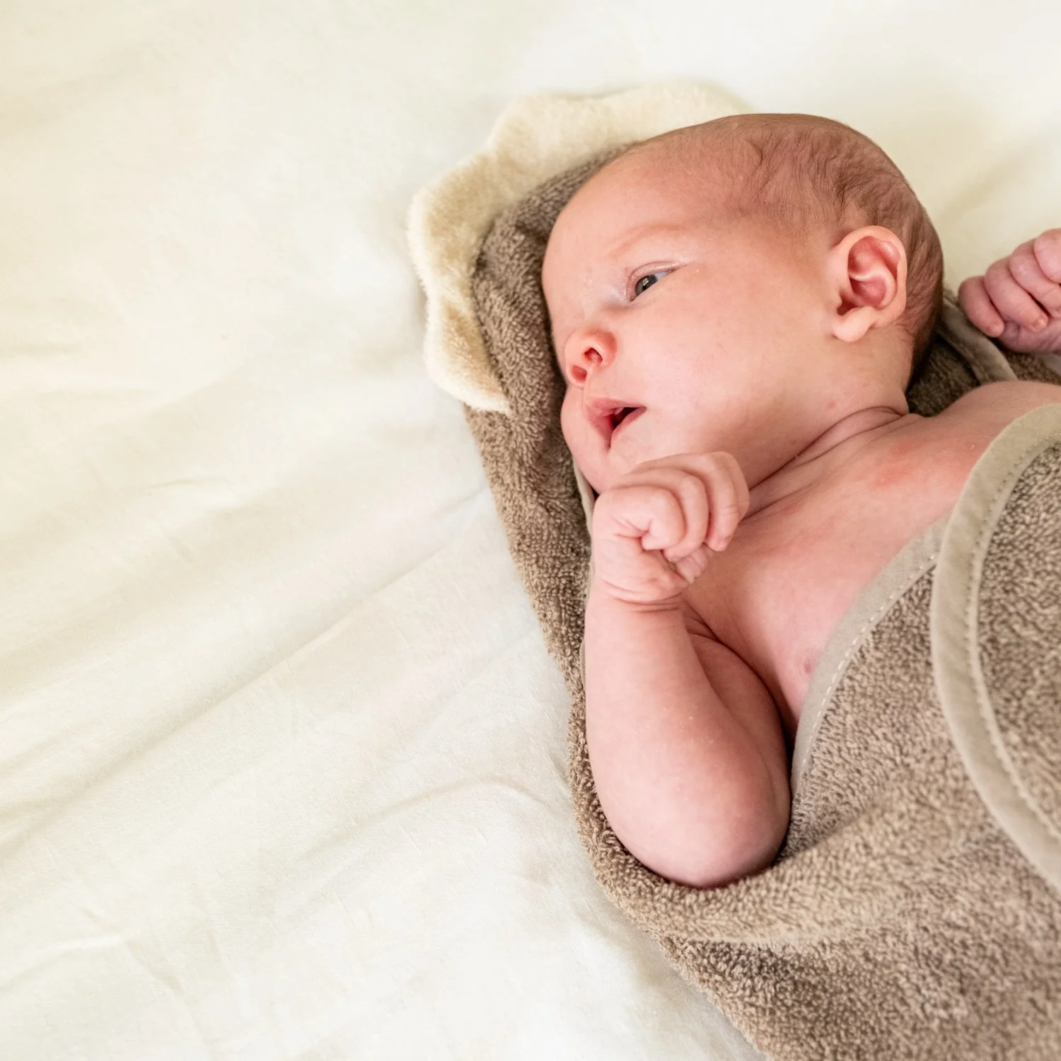 That's Mine Dino Moly Towel Swaddle - Image 3